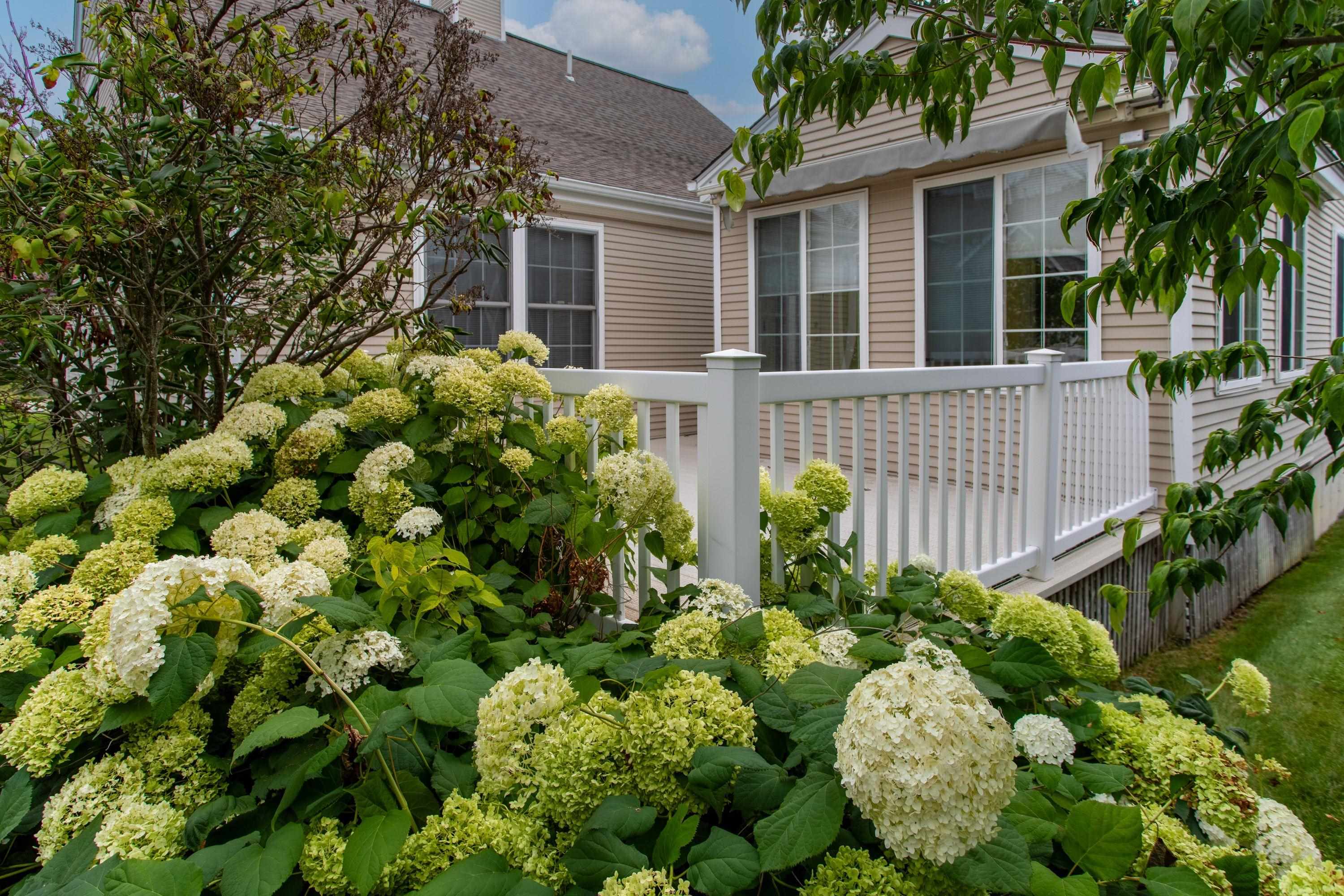 63 Hampton Meadows Property Photo 42
