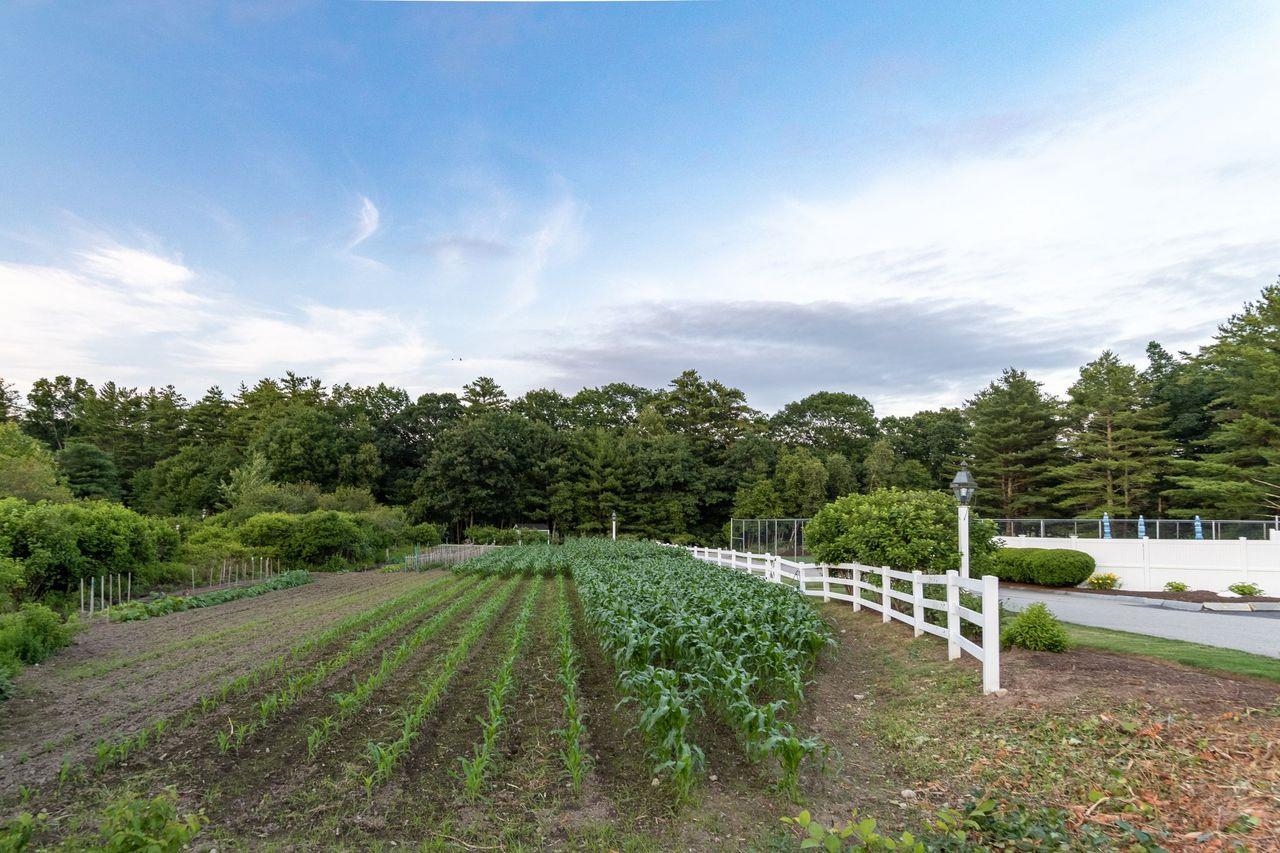 63 Hampton Meadows Property Photo 52