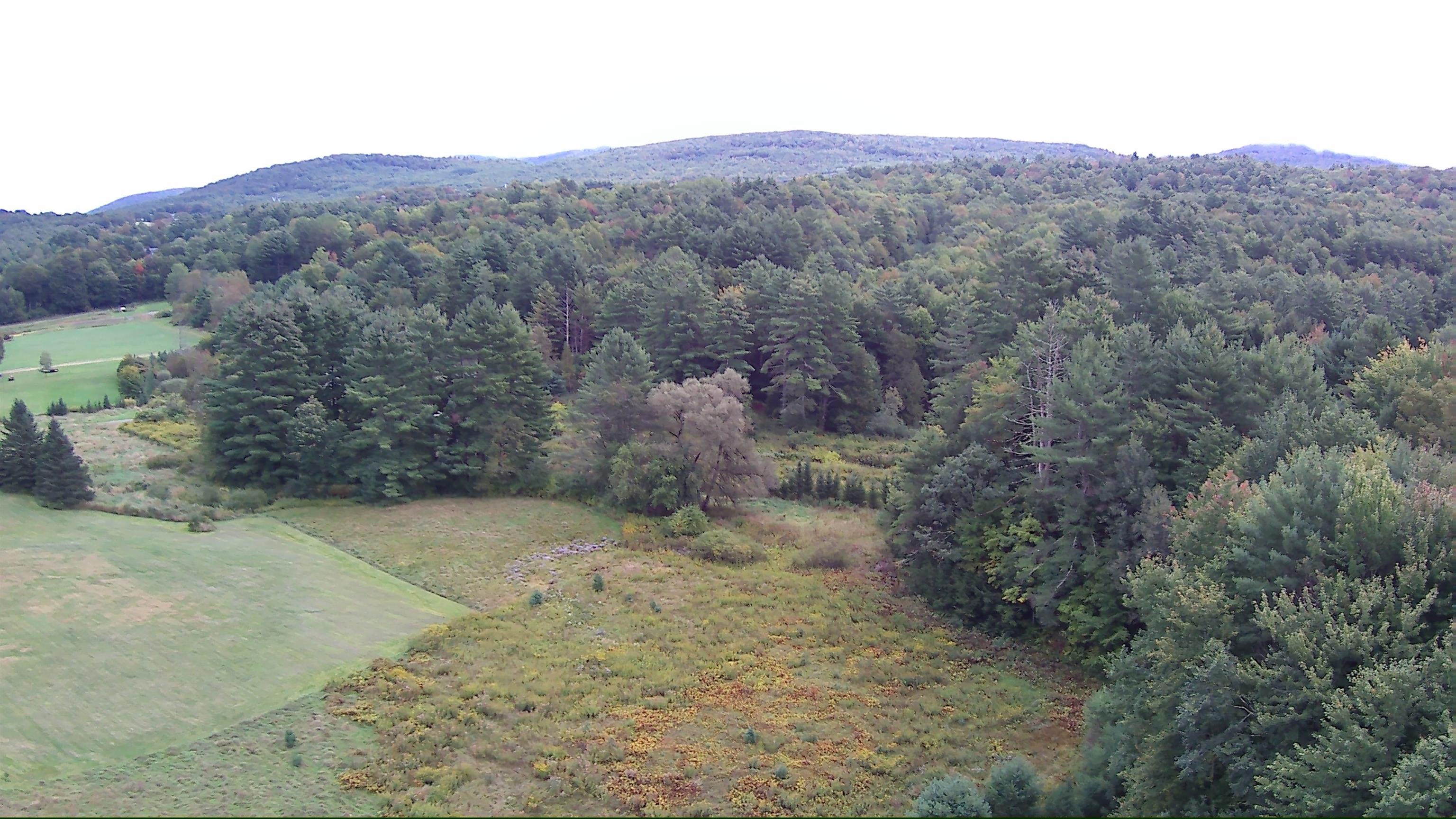 1844 Littleton Road Property Photo 50
