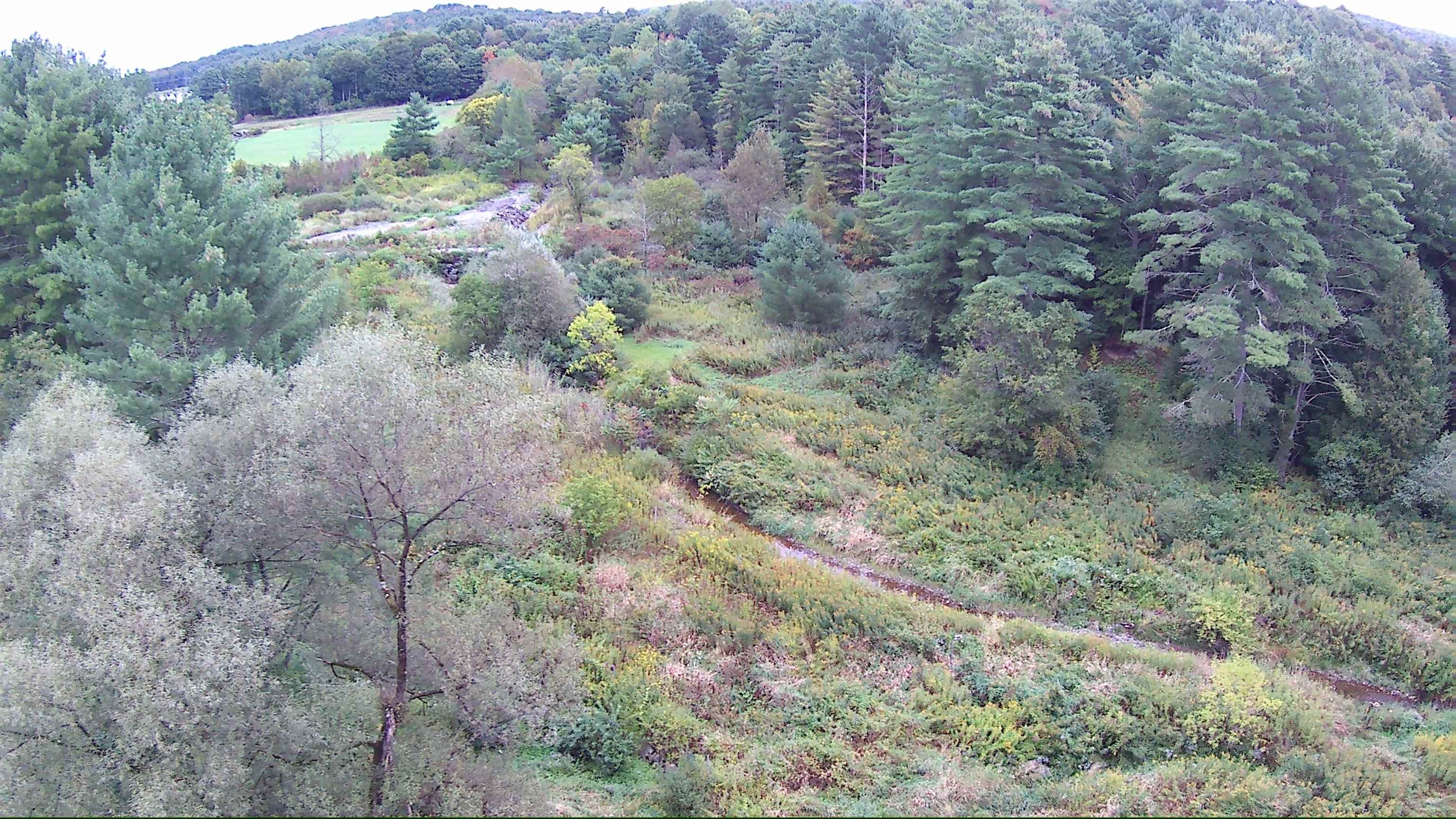 1844 Littleton Road Property Photo 52