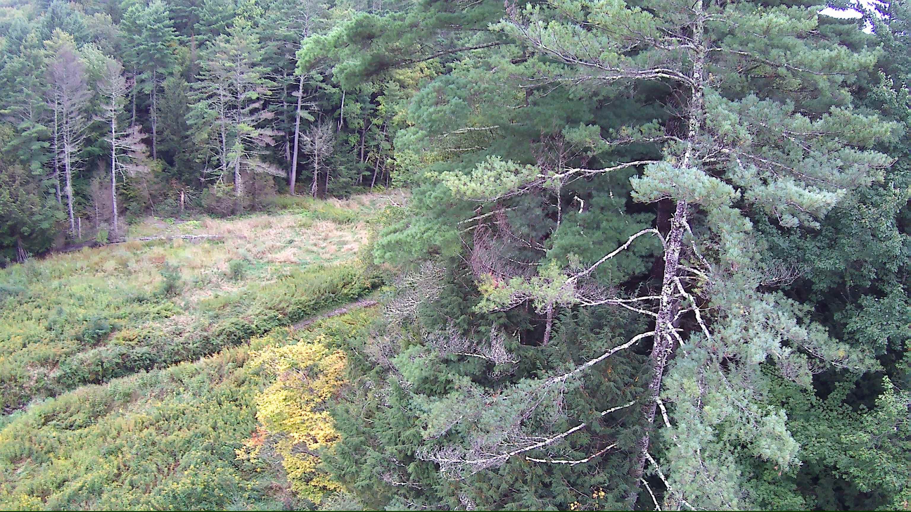 1844 Littleton Road Property Photo 53