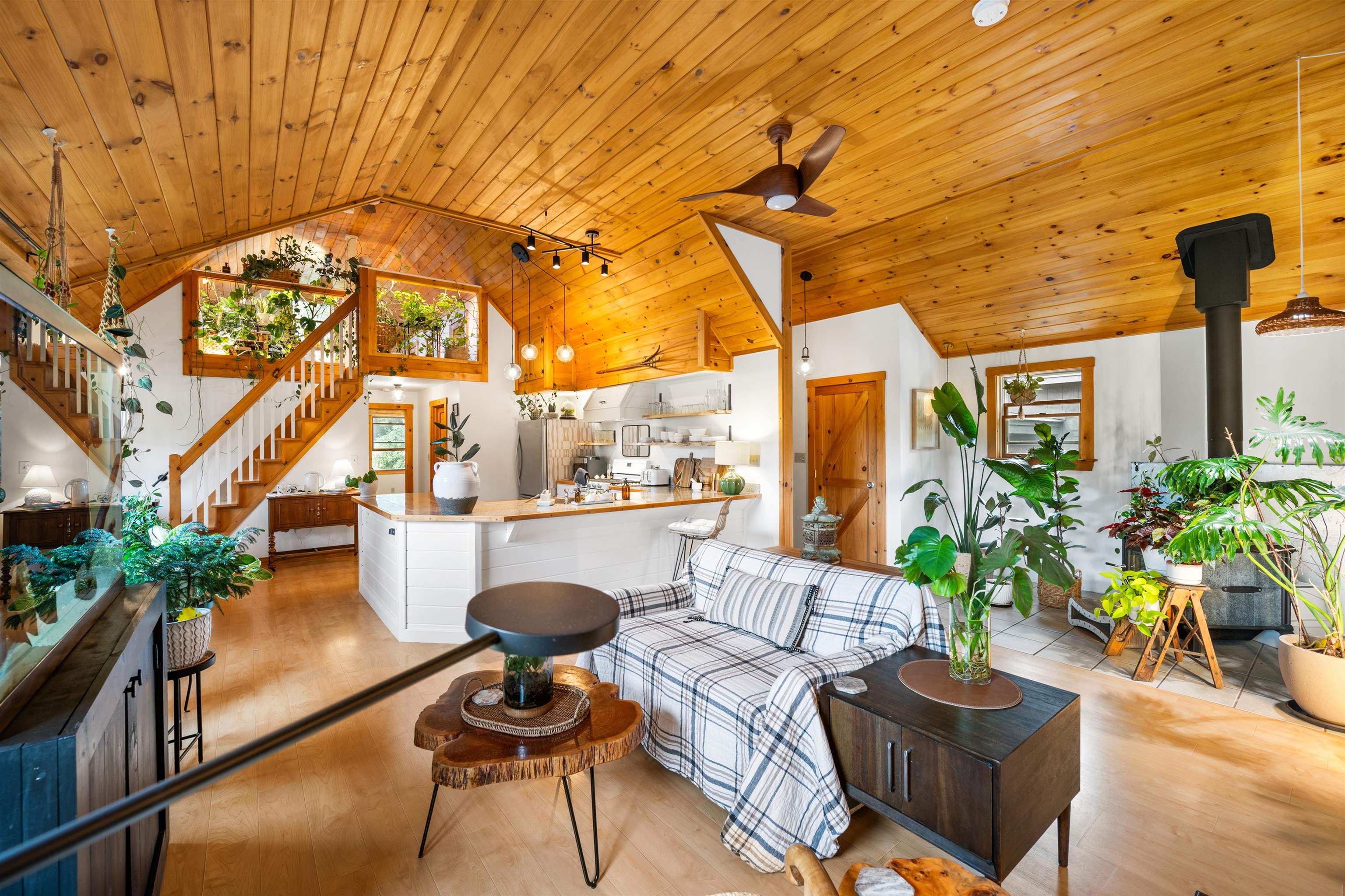 3 Colburn Road Property Photo 16