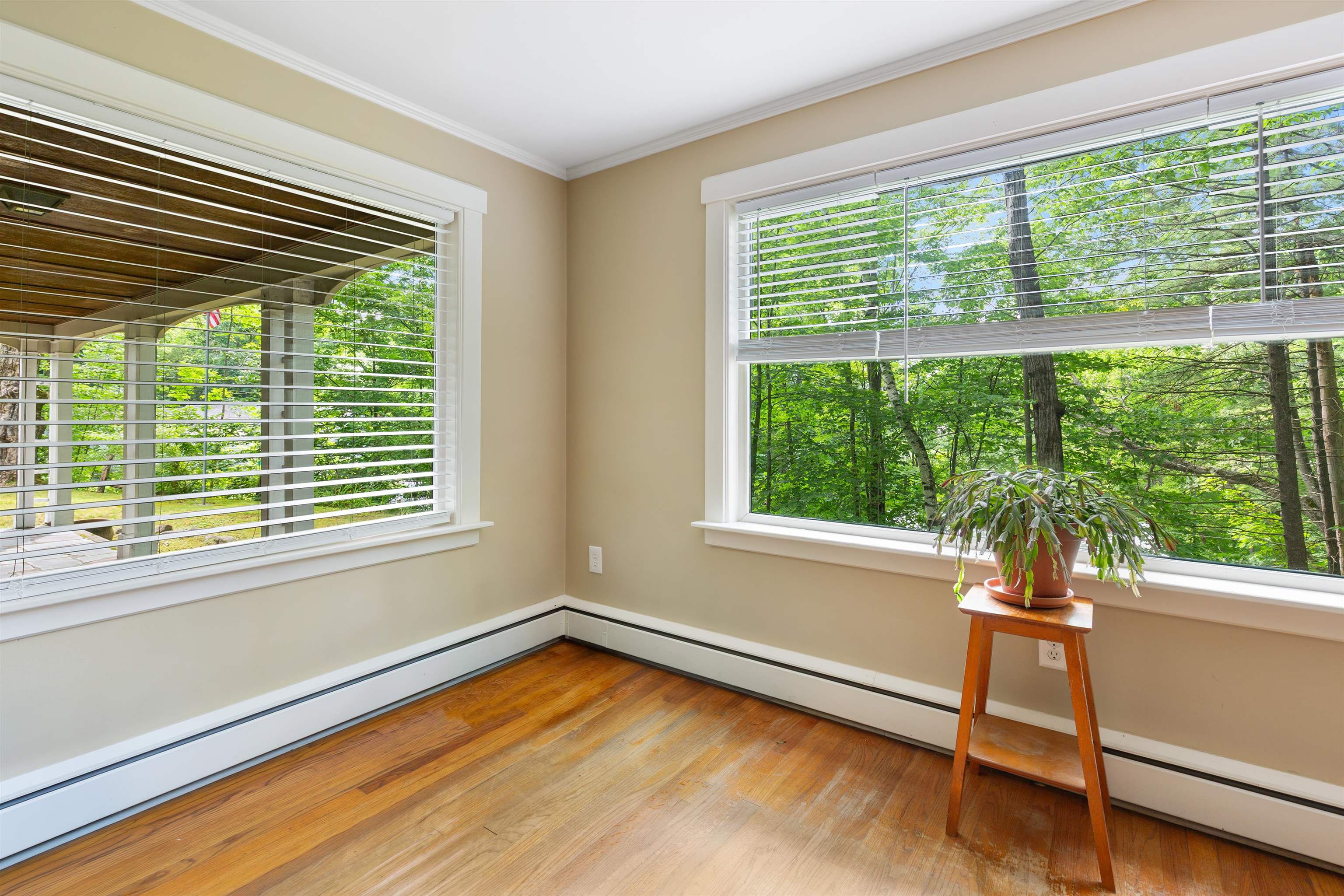 75 Forest Avenue Property Photo 14