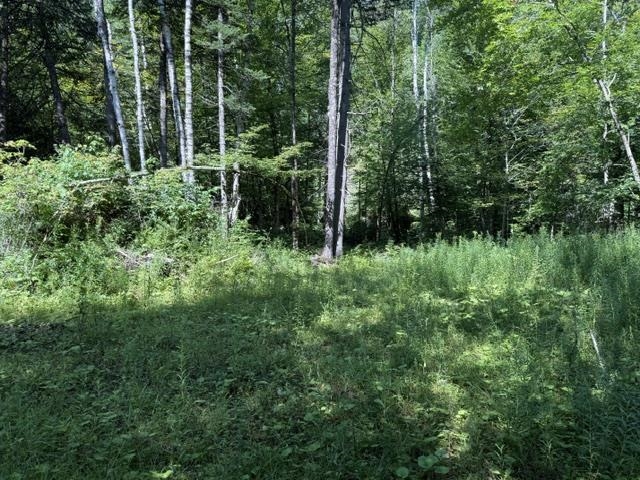 362 Mero Road Property Photo 2