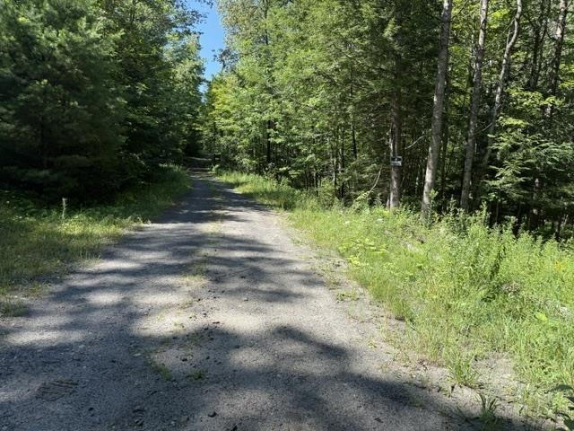 362 Mero Road Property Photo 4