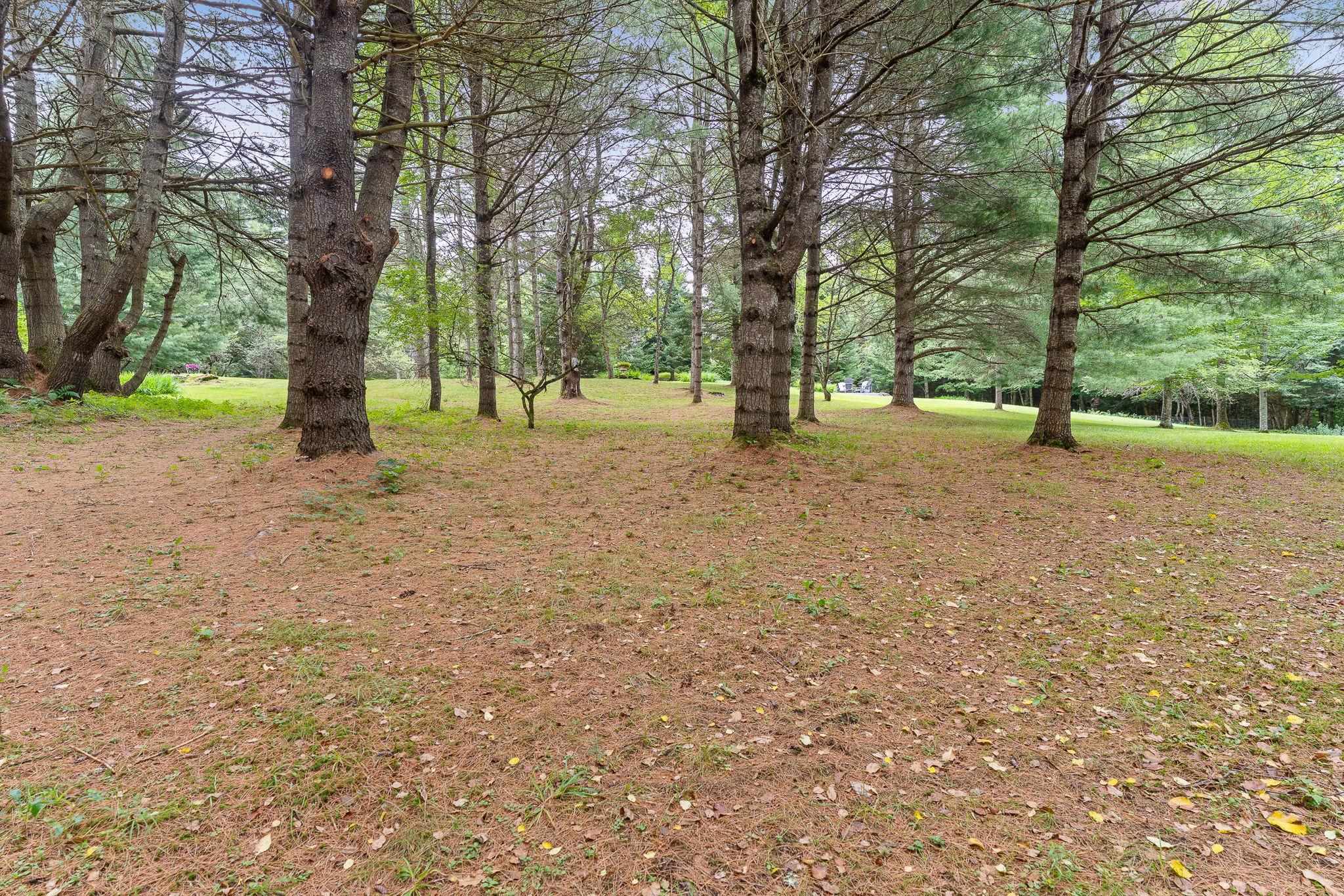 161 Jourdan Road Property Photo 57