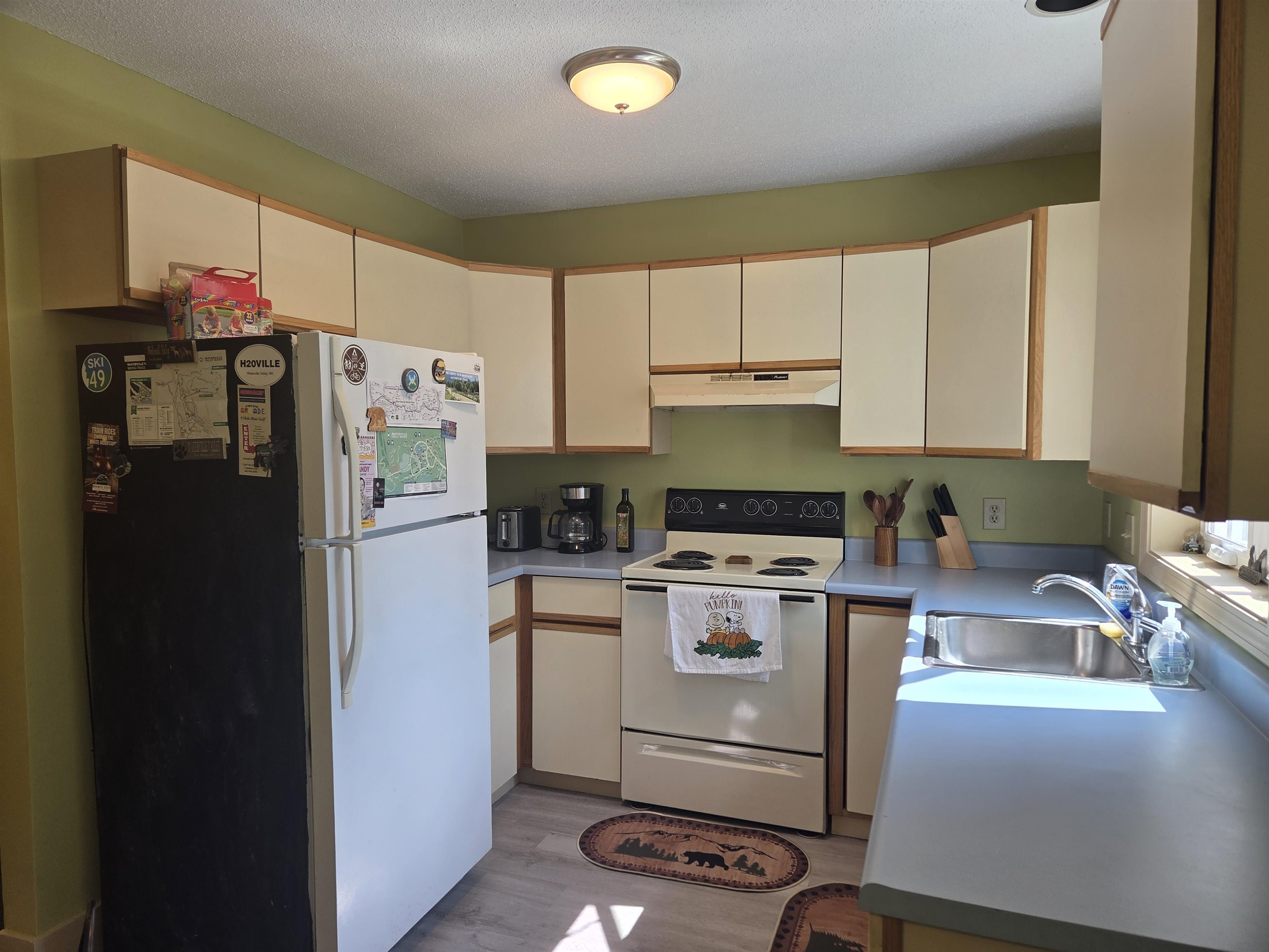 106 Mountain River East Road Property Photo 3