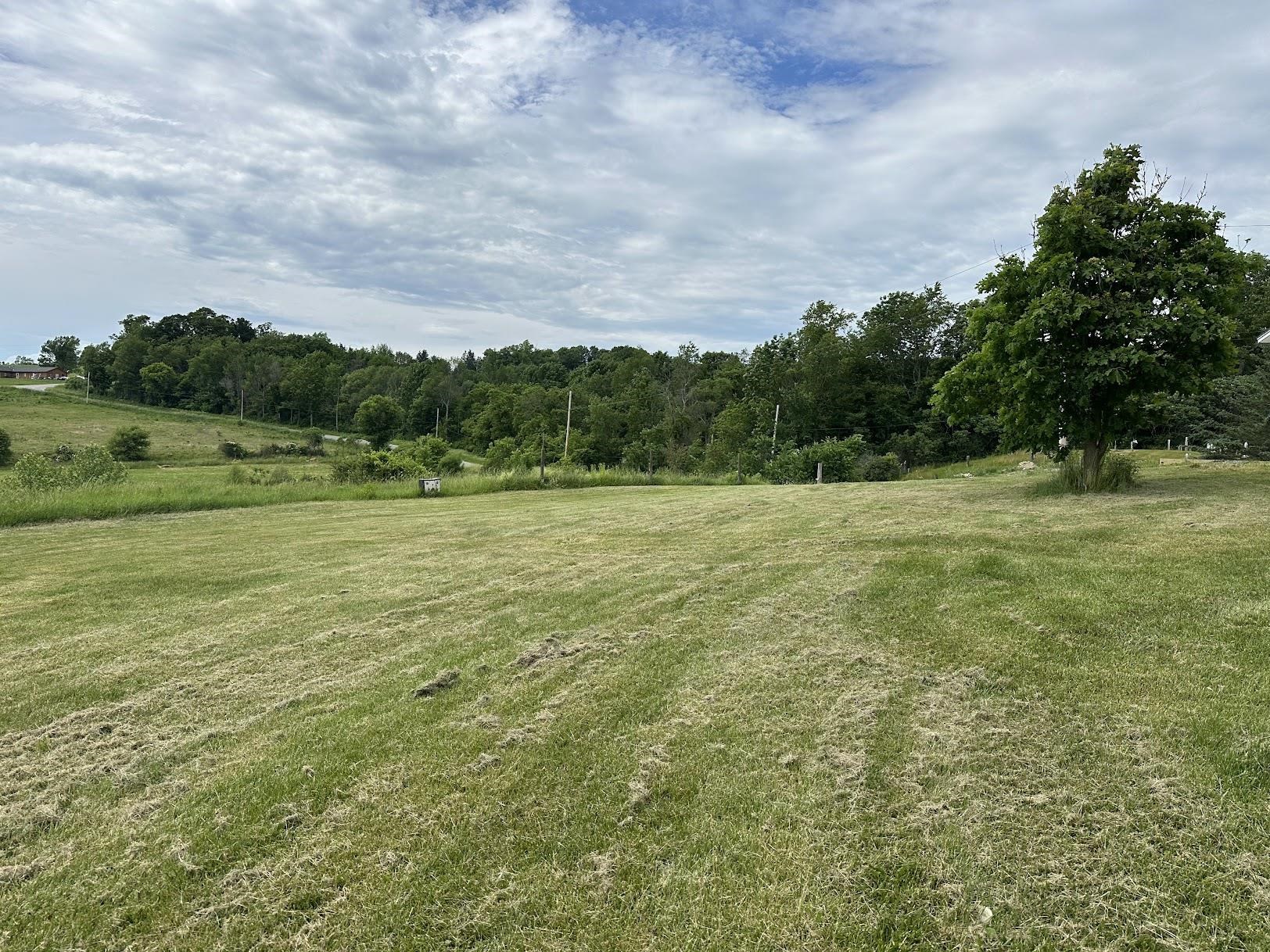 65 Saltis Road Property Photo 12