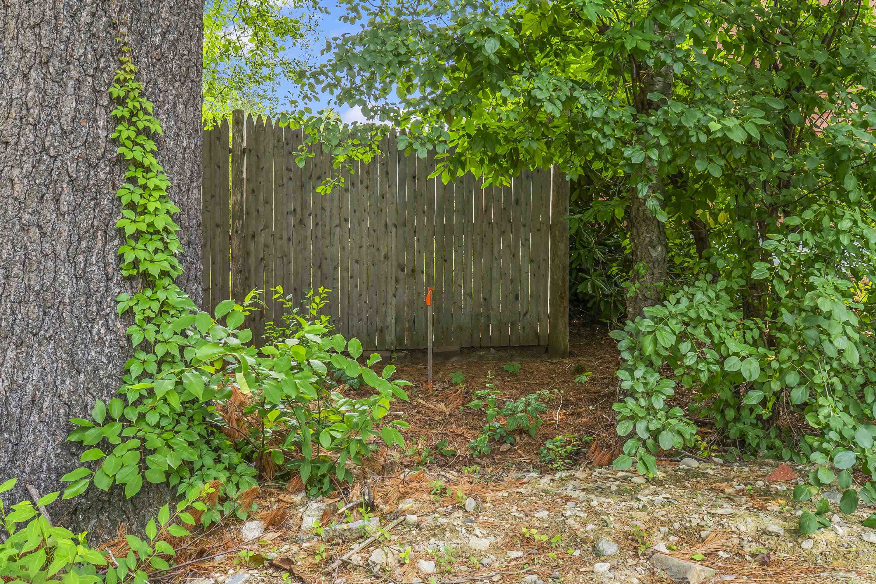 0 Melbourne Street Property Photo 11