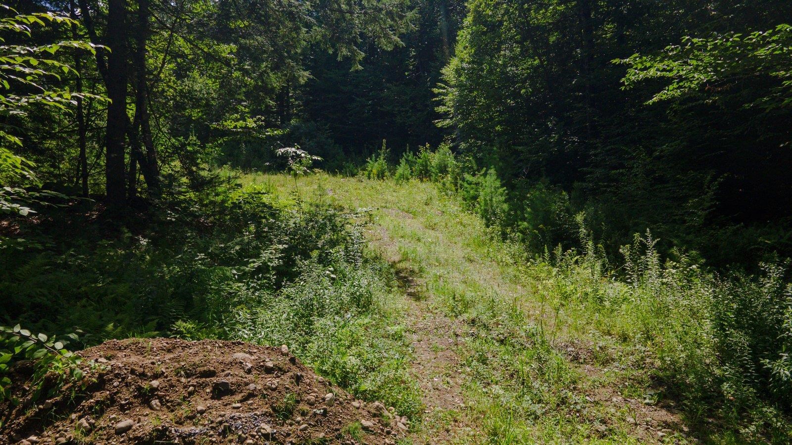 Lot 592-d Weare Road/route 114 Property Photo 6