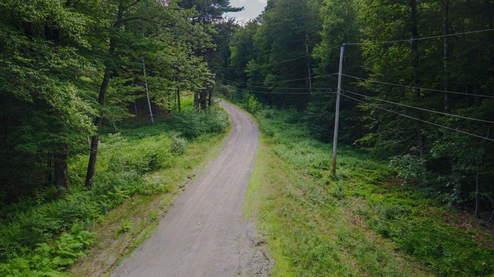 Lot 592-d Weare Road/route 114 Property Photo 7
