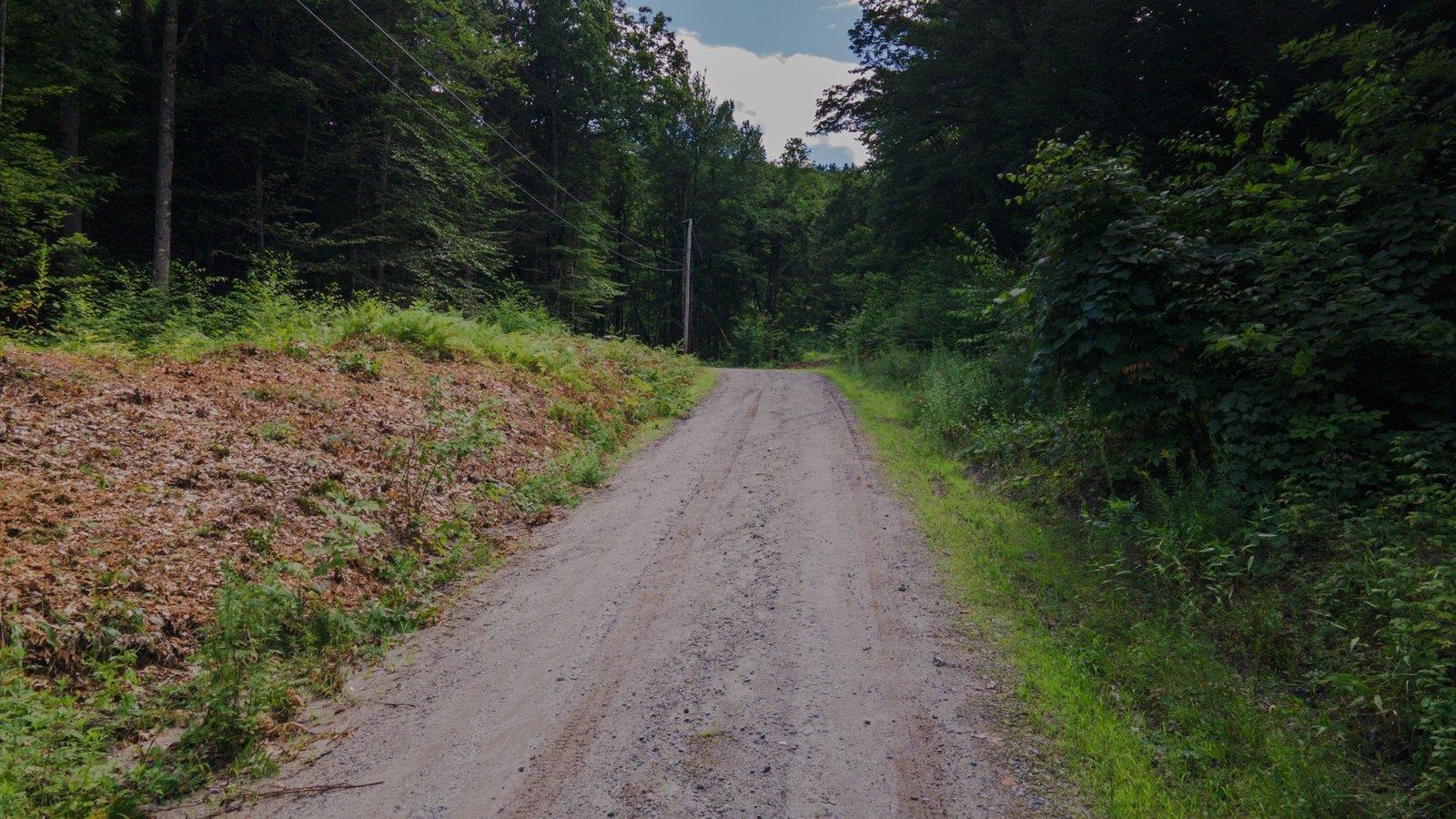 Lot 592-d Weare Road/route 114 Property Photo 8