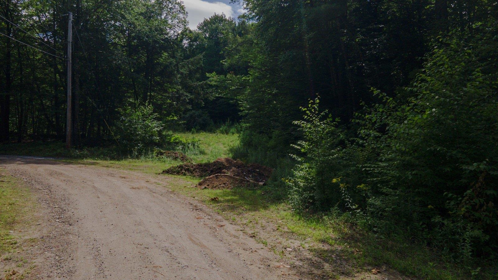 Lot 592-d Weare Road/route 114 Property Photo 9