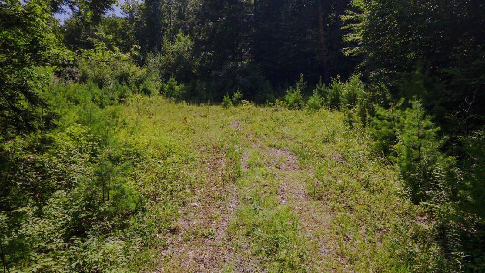 Lot 592-d Weare Road/route 114 Property Photo 11