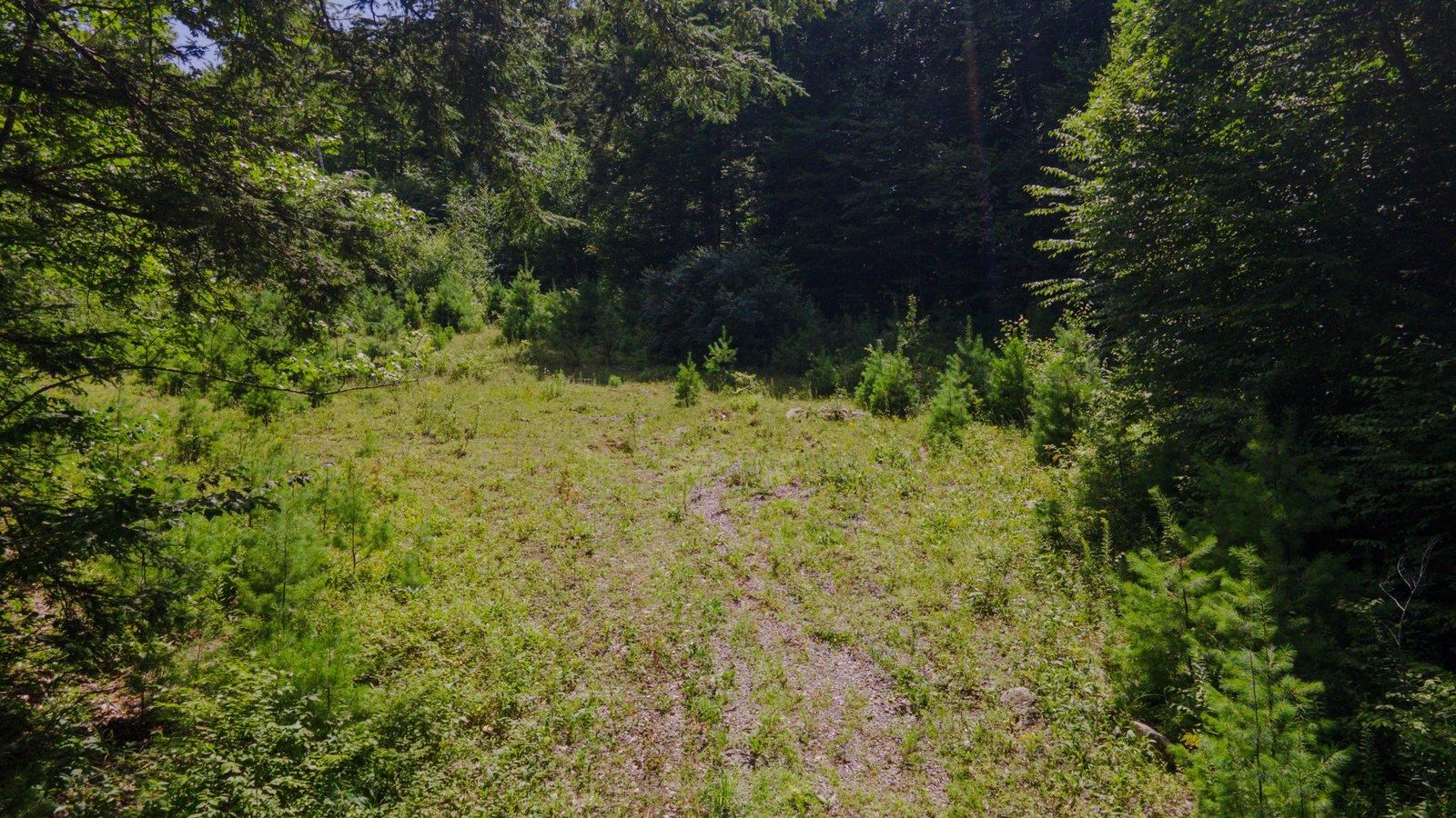 Lot 592-d Weare Road/route 114 Property Photo 12