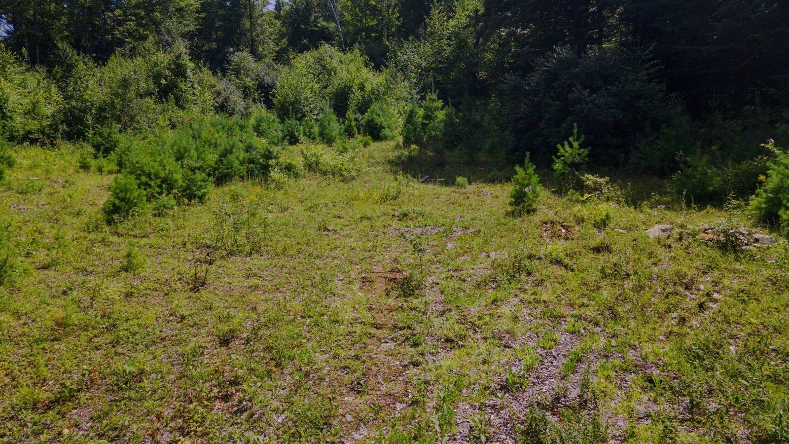 Lot 592-d Weare Road/route 114 Property Photo 13