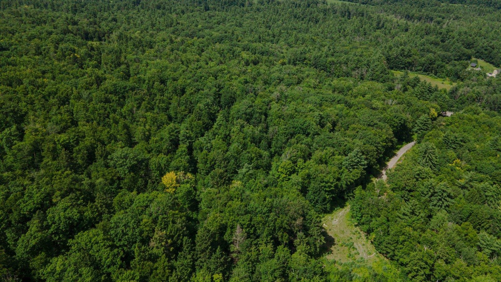 Lot 592-d Weare Road/route 114 Property Photo 16