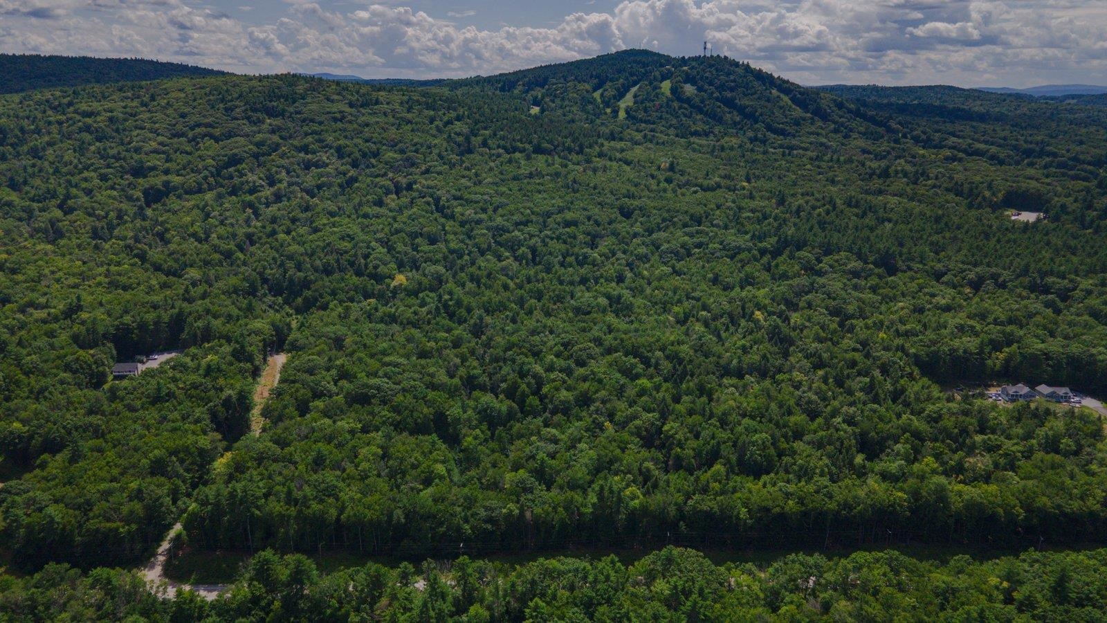 Lot 592-d Weare Road/route 114 Property Photo 19