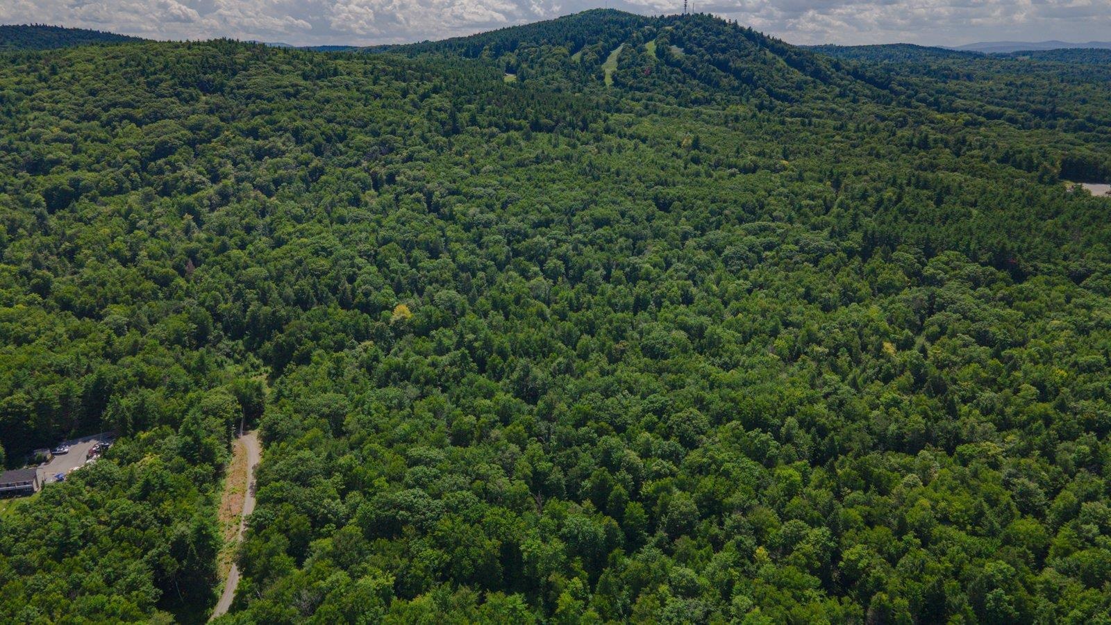 Lot 592-d Weare Road/route 114 Property Photo 21
