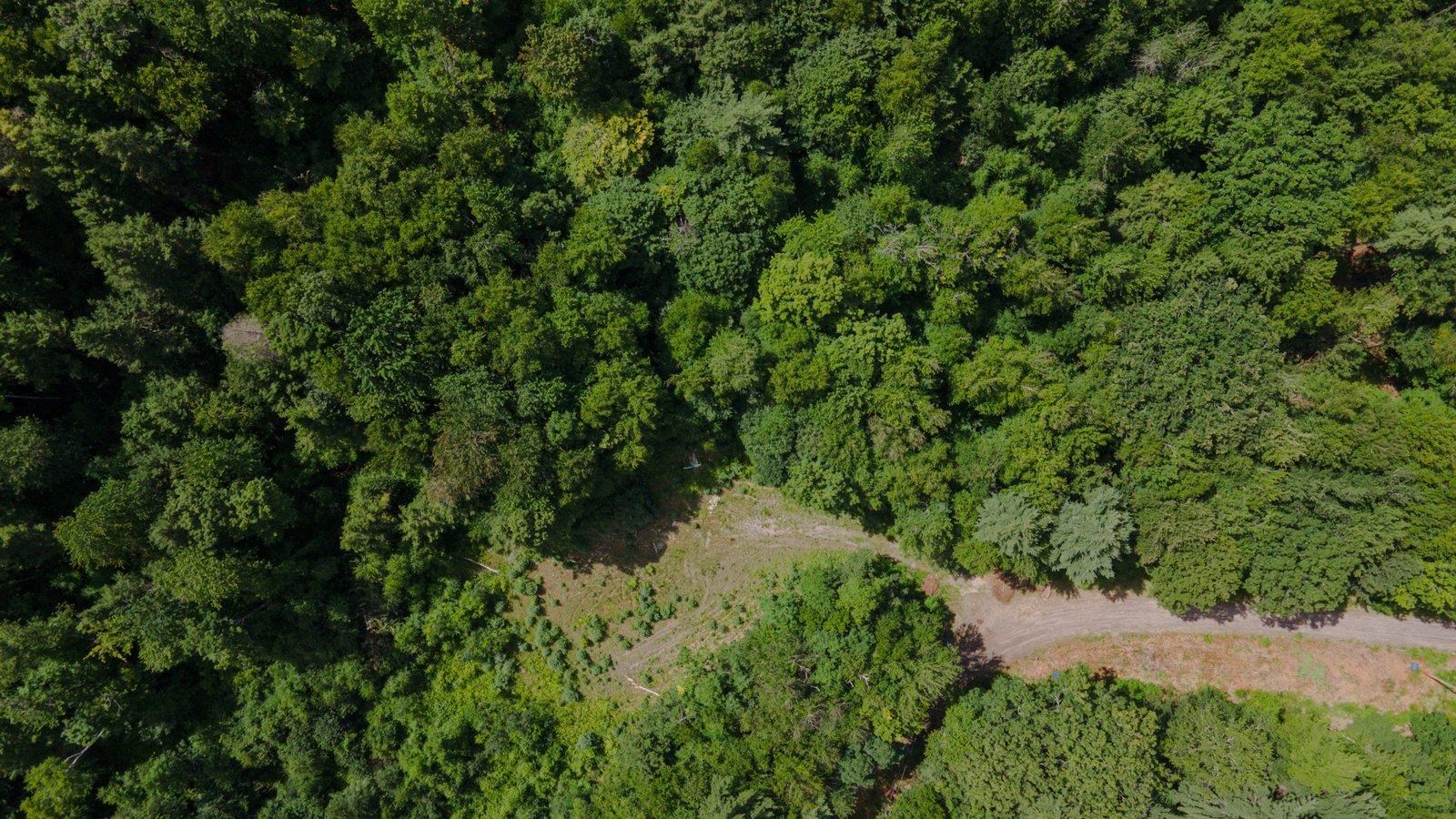 Lot 592-d Weare Road/route 114 Property Photo 25