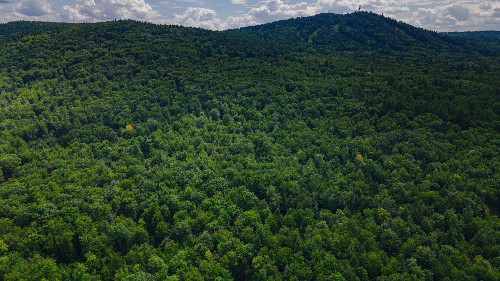 Lot 592-d Weare Road/route 114 Property Photo 28