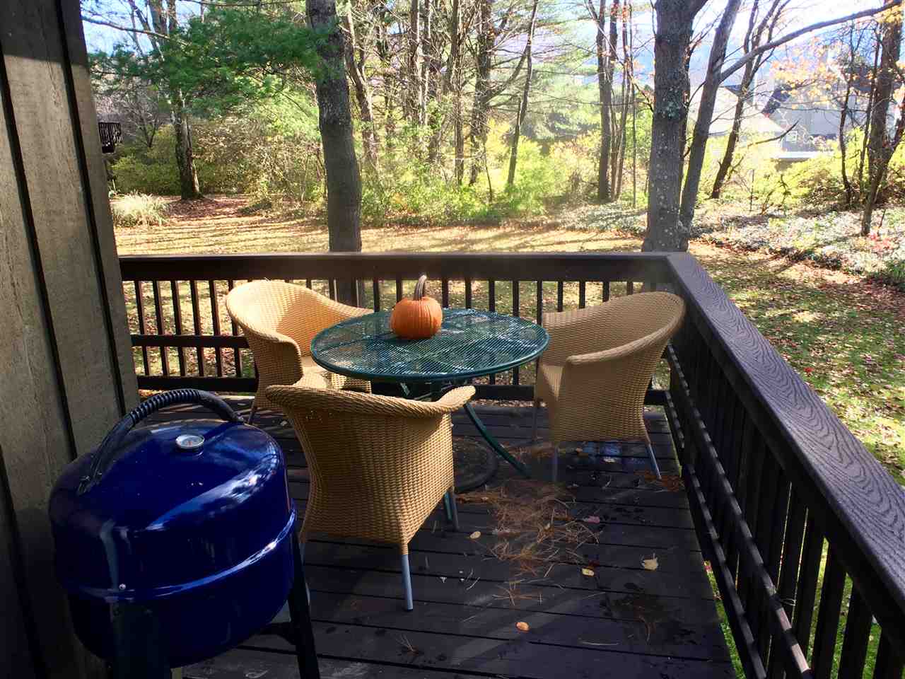 9 Murray Hill Road South Property Photo 4