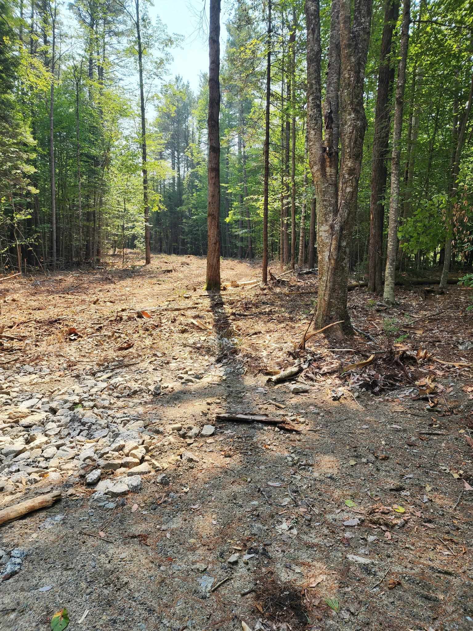 619 Route 103a Property Photo 8