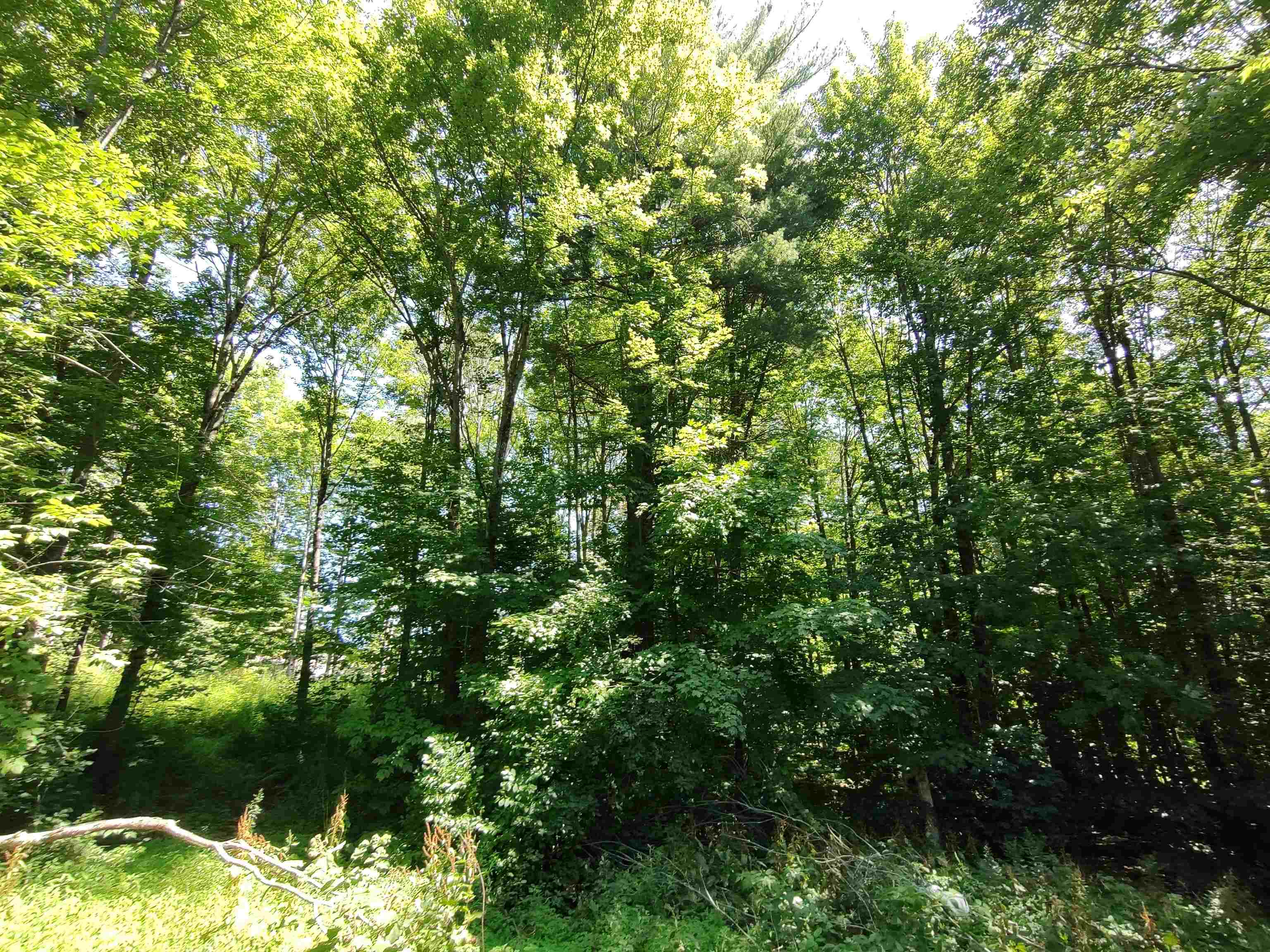 230 Ober Hill Road Property Photo 7