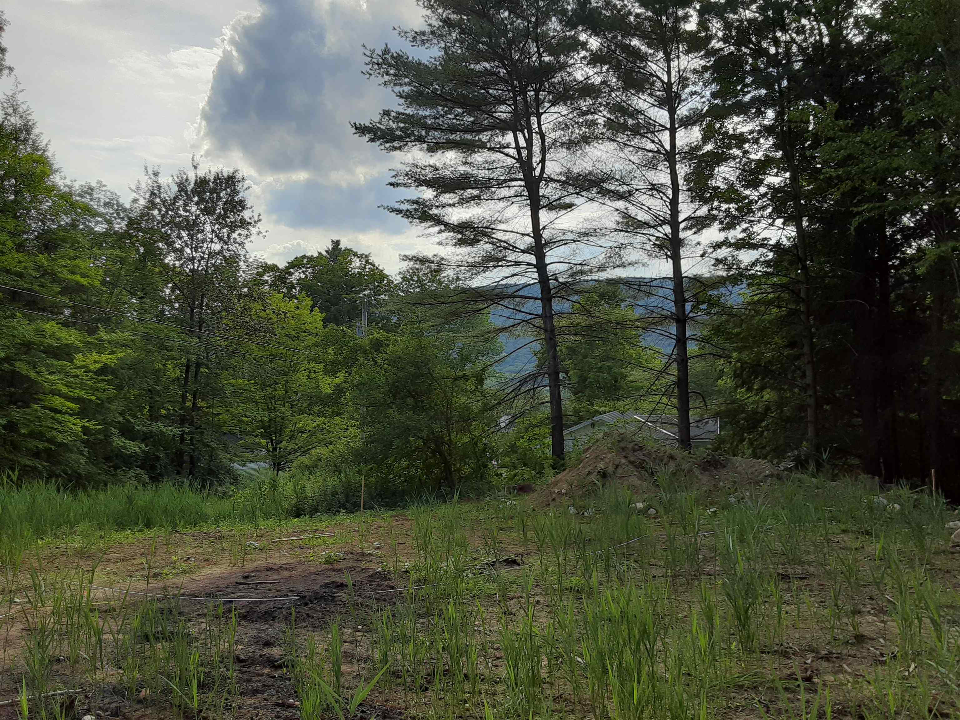 0 Forest Dale Road Property Photo 1