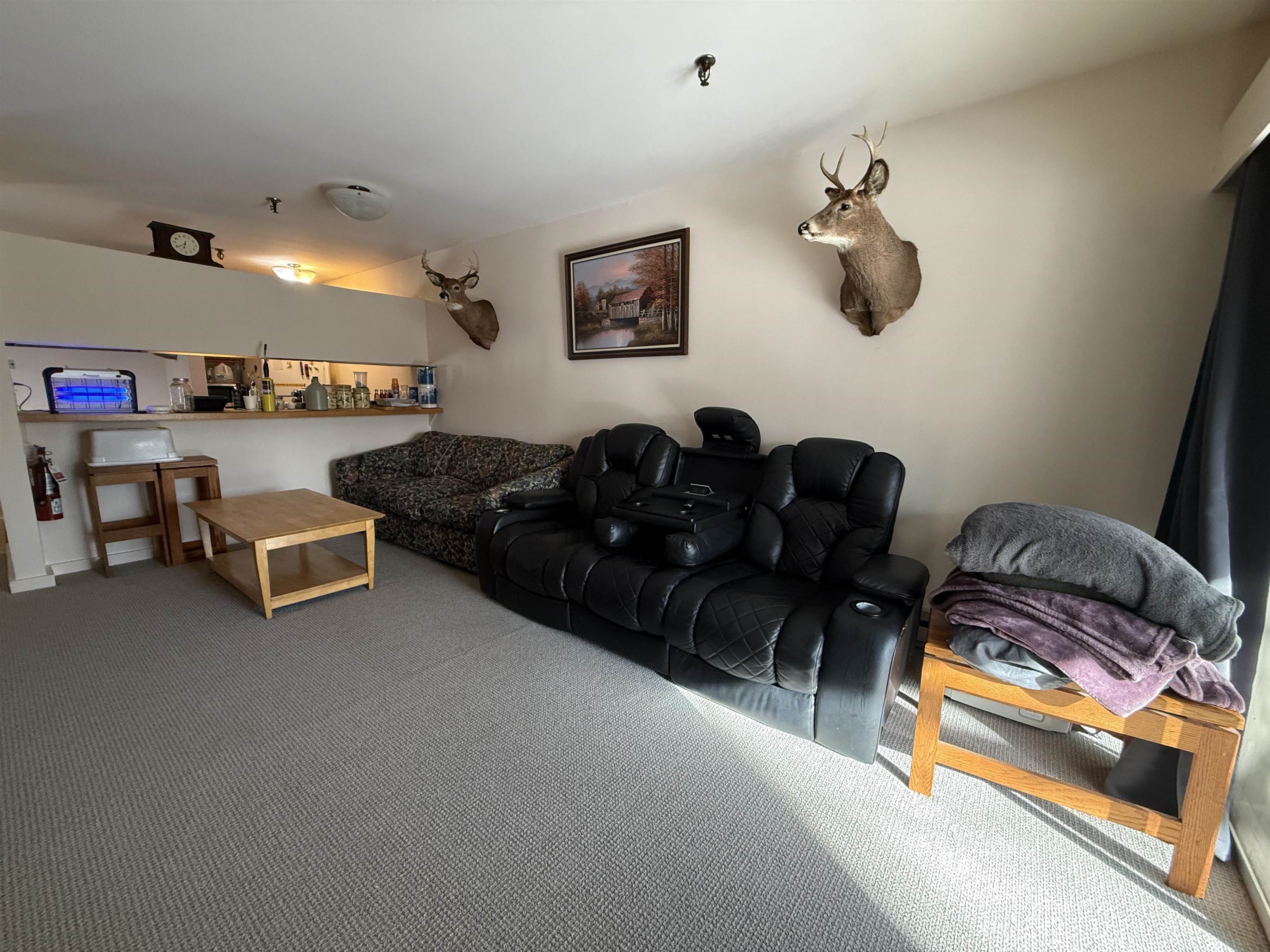 114 Club Sugarbush Road Property Photo 3
