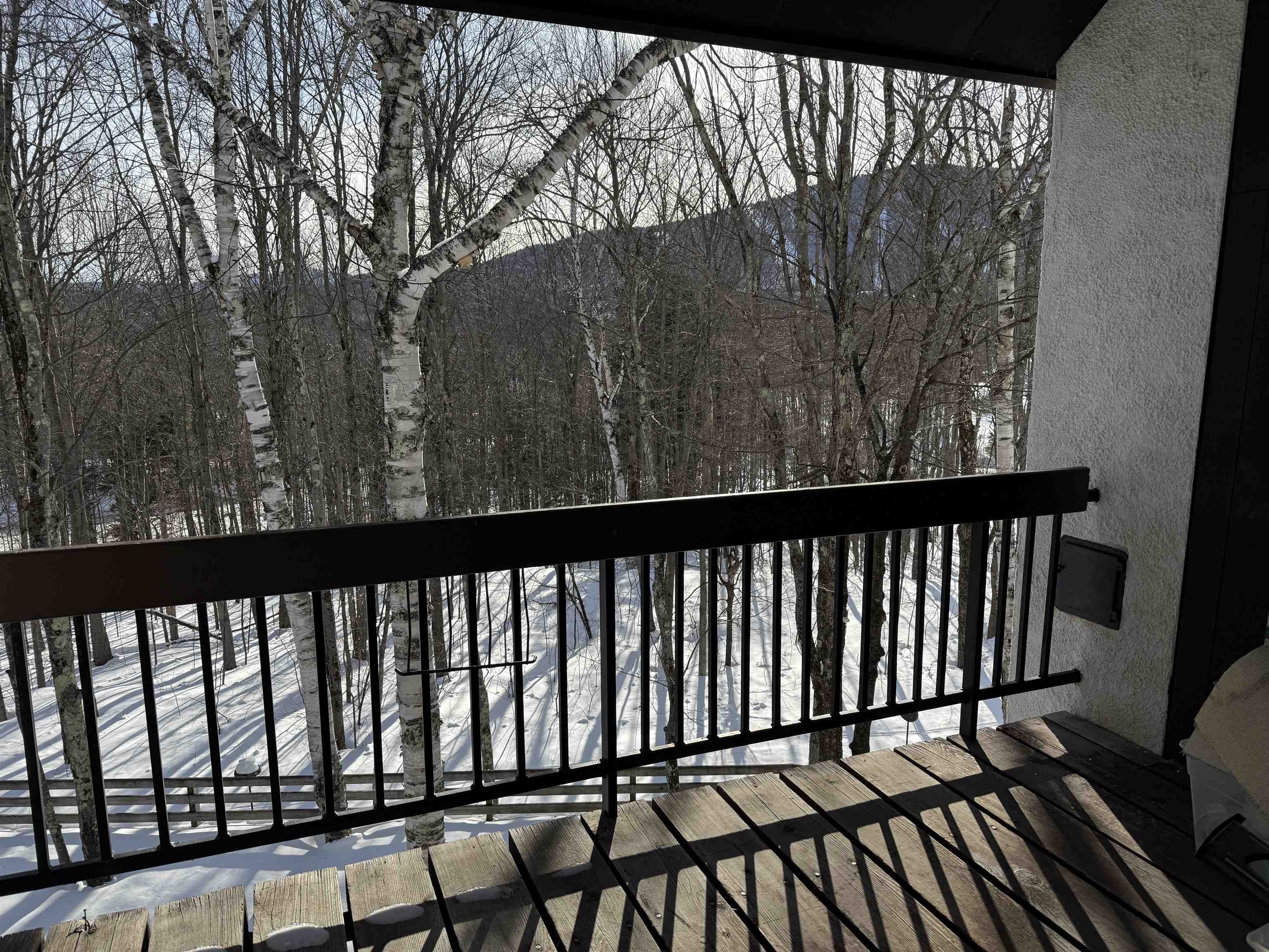 114 Club Sugarbush Road Property Photo 10