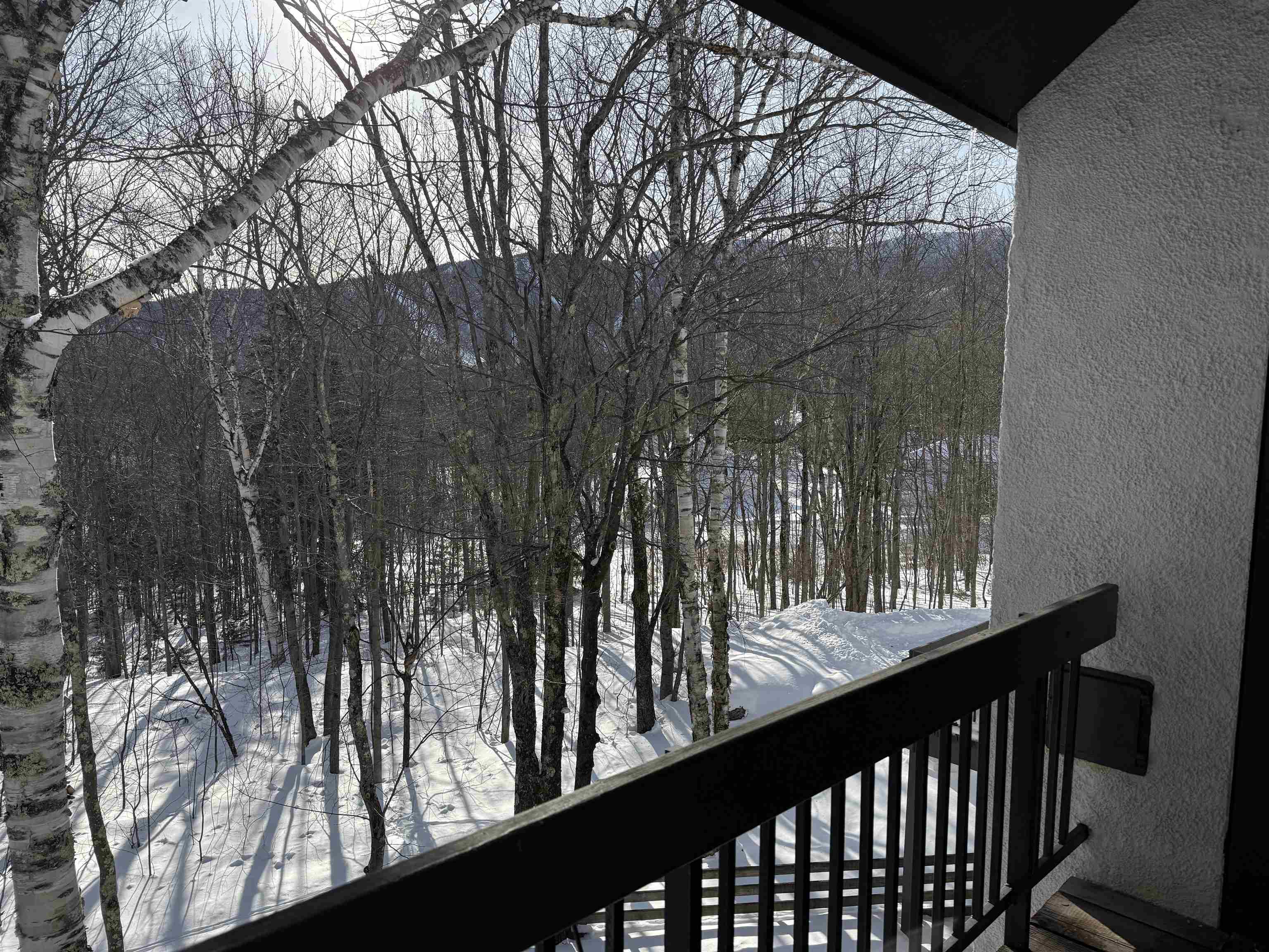114 Club Sugarbush Road Property Photo 17