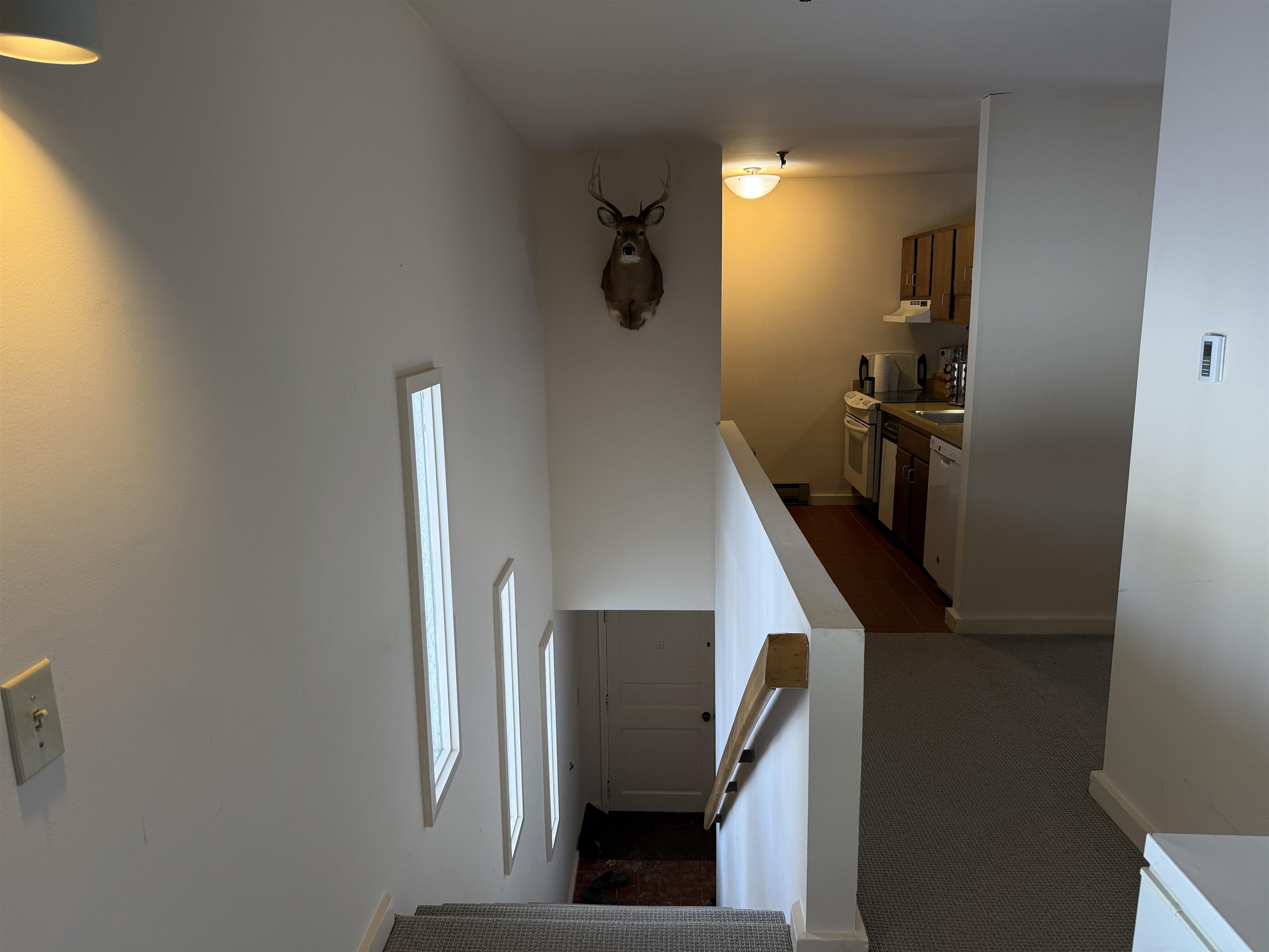 114 Club Sugarbush Road Property Photo 19