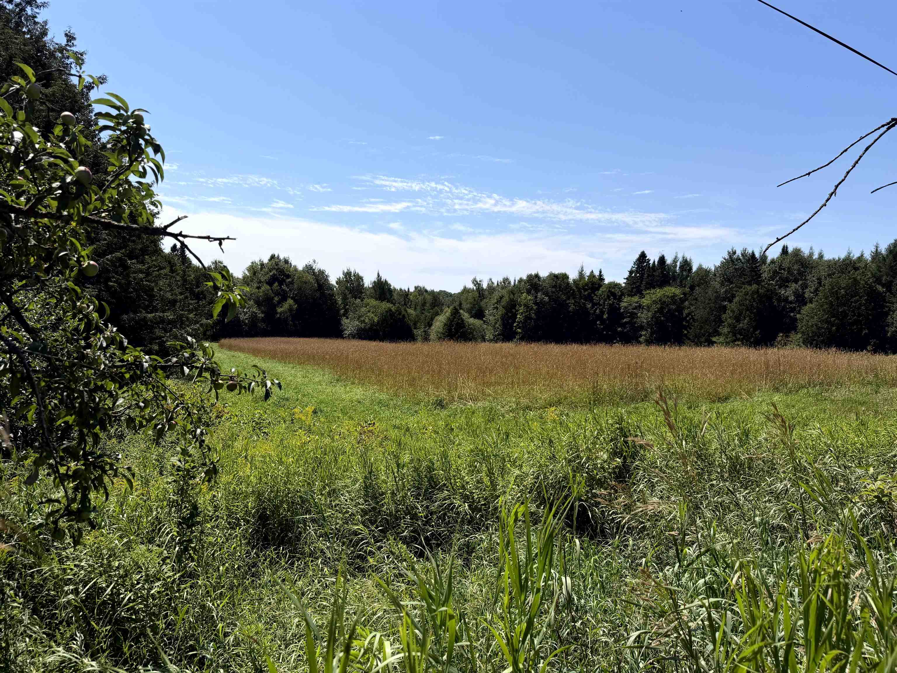 3329 Bates Hill Road Property Photo 4
