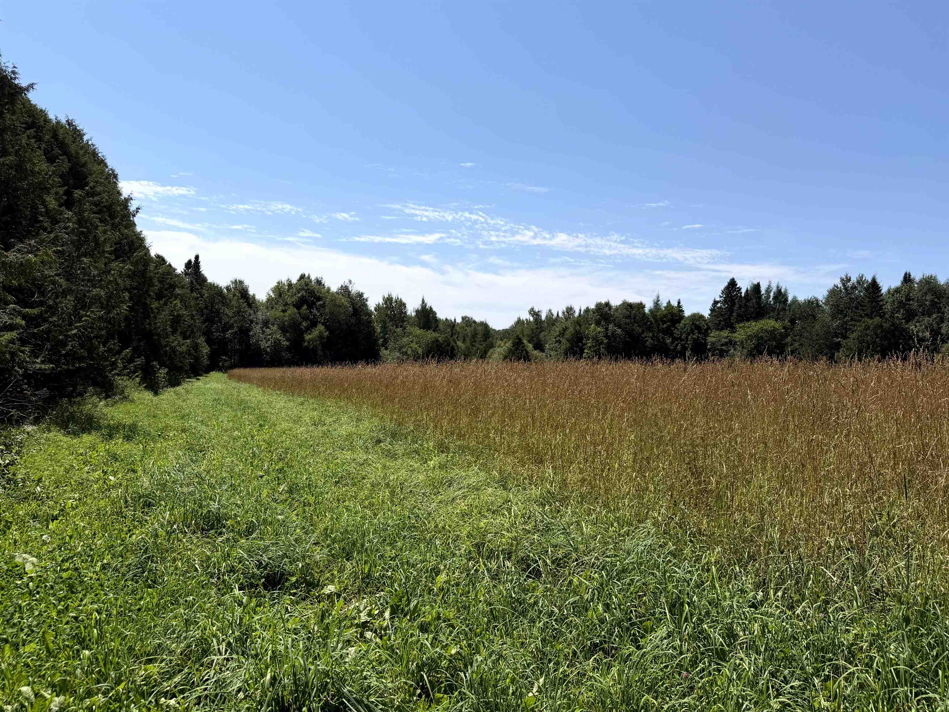 3329 Bates Hill Road Property Photo 5