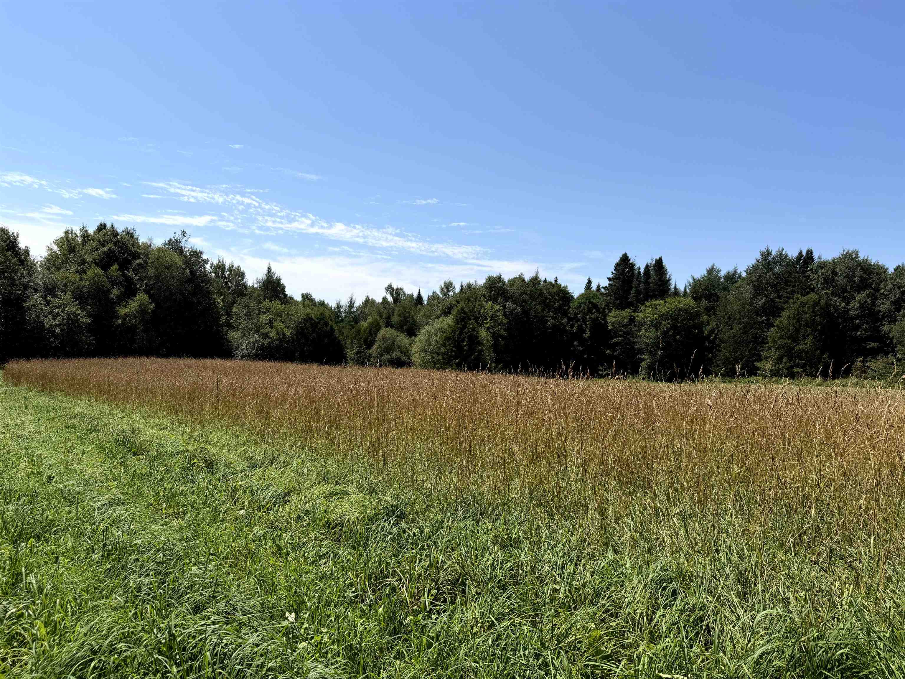 3329 Bates Hill Road Property Photo 6