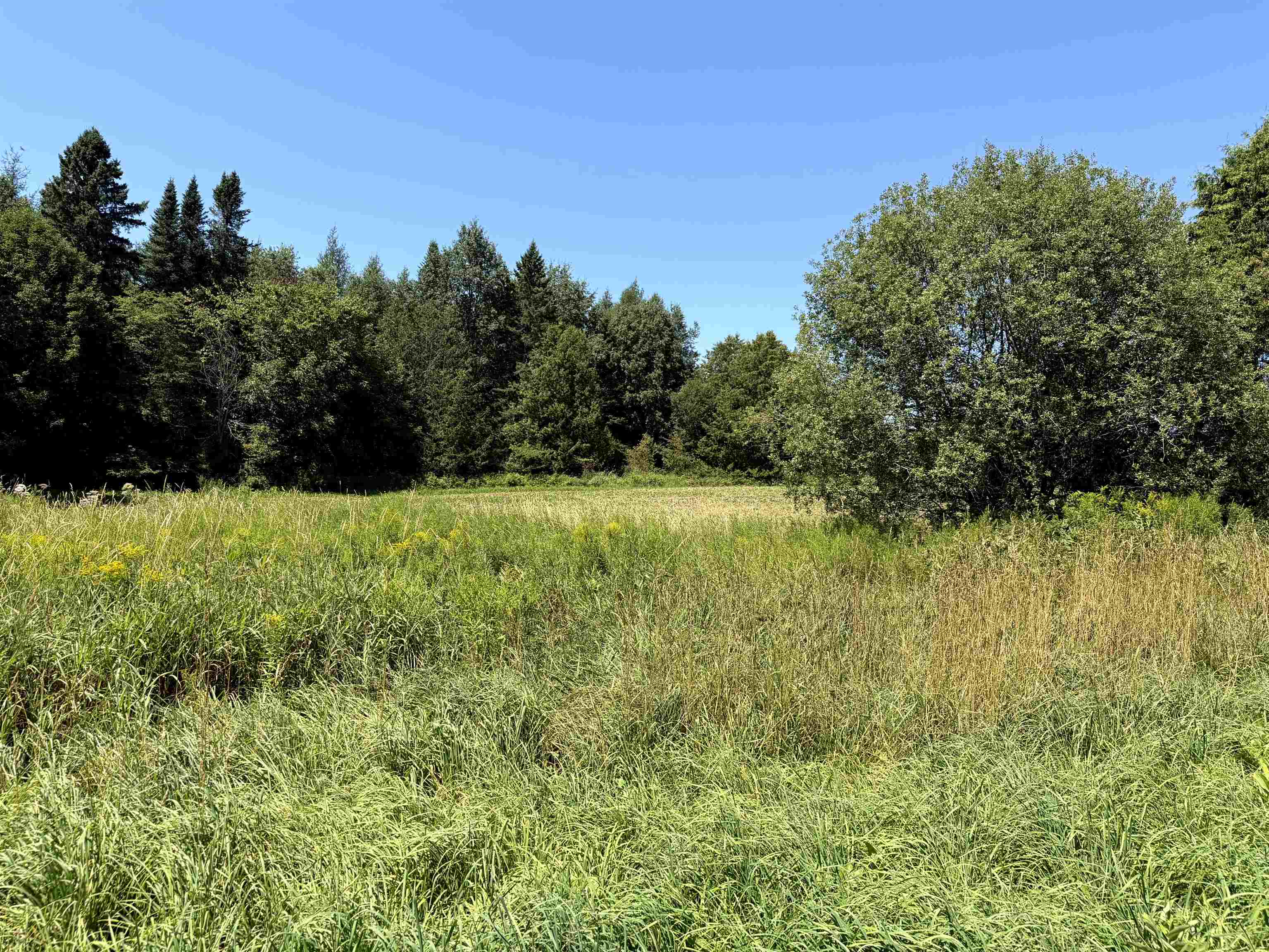 3329 Bates Hill Road Property Photo 10