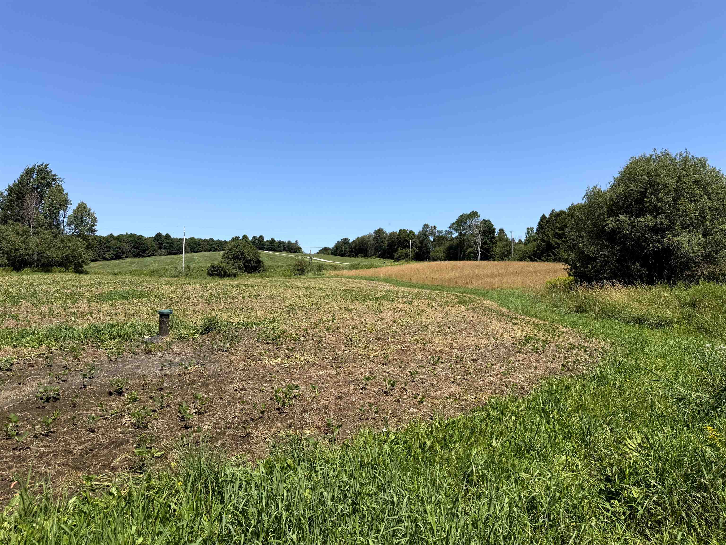3329 Bates Hill Road Property Photo 13