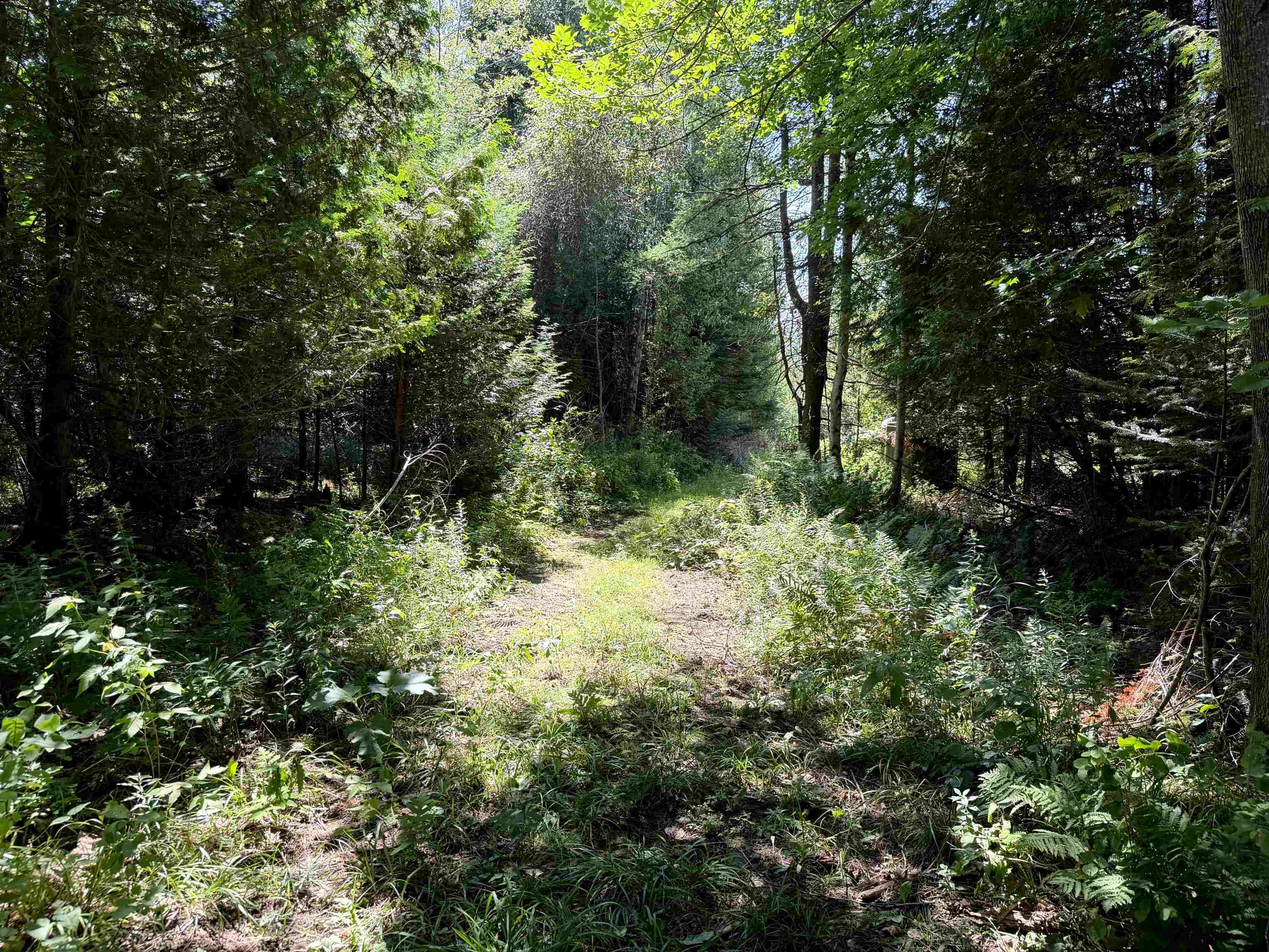 3329 Bates Hill Road Property Photo 14
