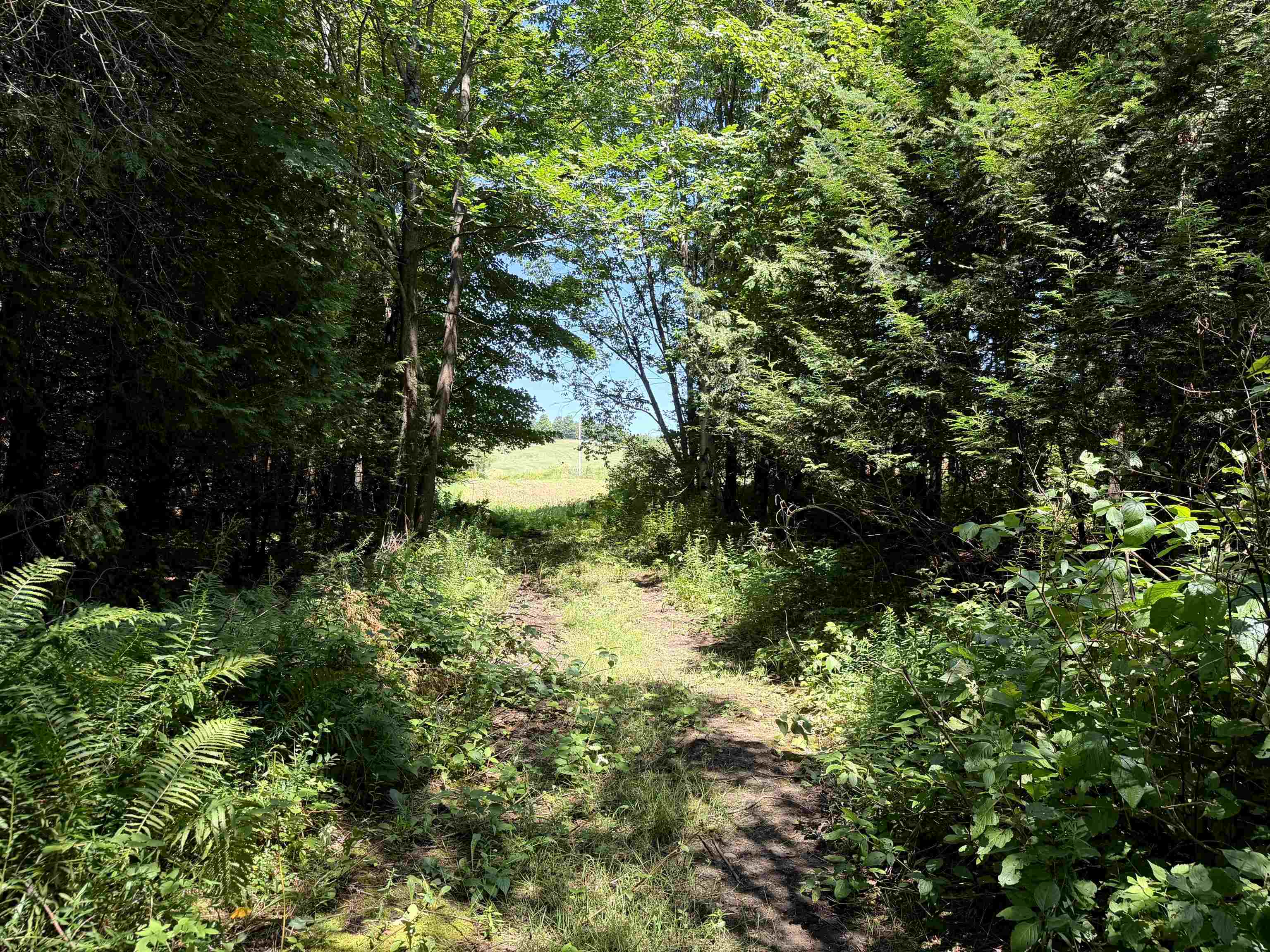 3329 Bates Hill Road Property Photo 15