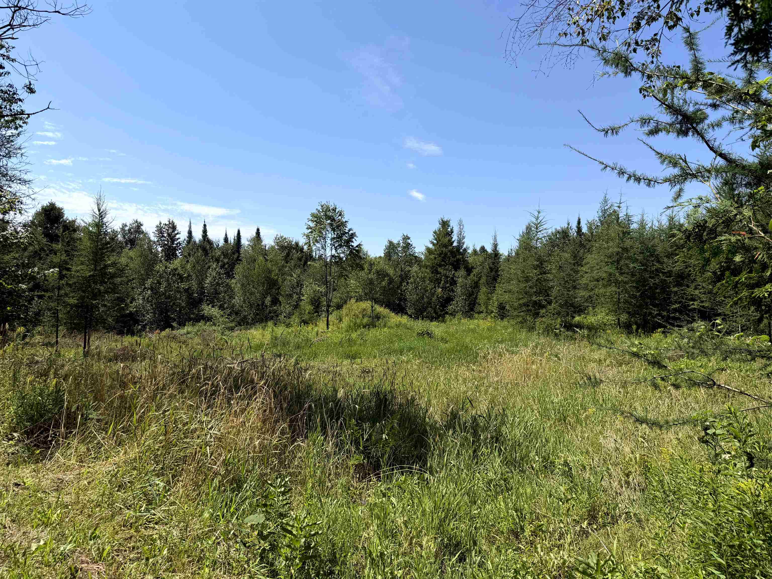 3329 Bates Hill Road Property Photo 16