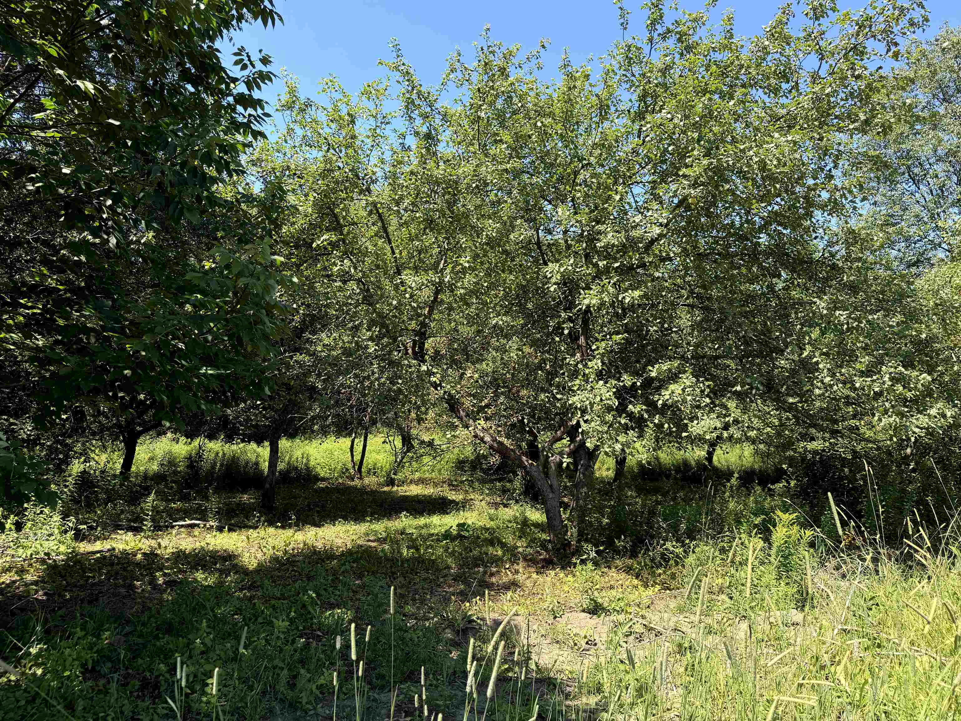 3329 Bates Hill Road Property Photo 21