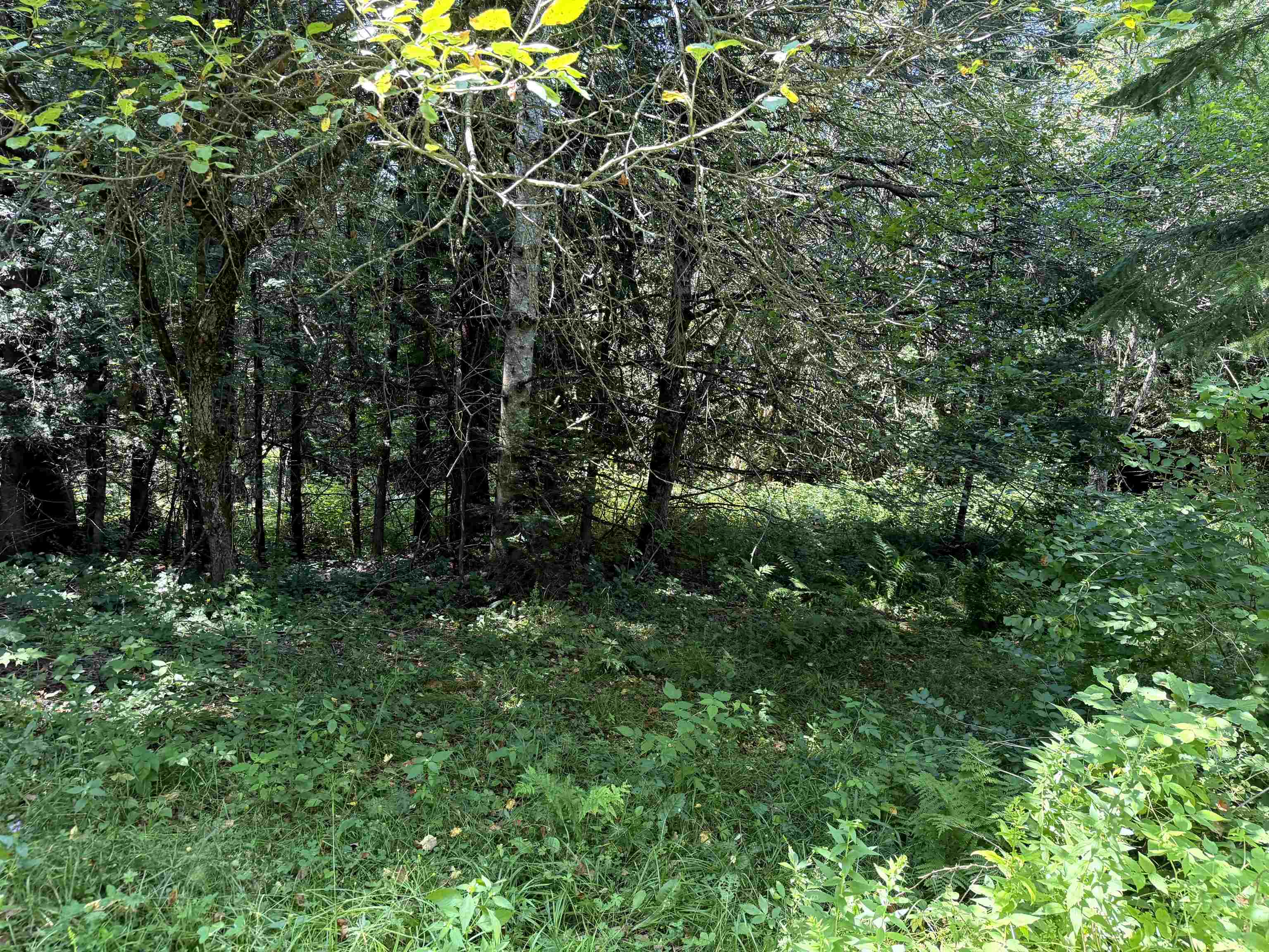 3329 Bates Hill Road Property Photo 23