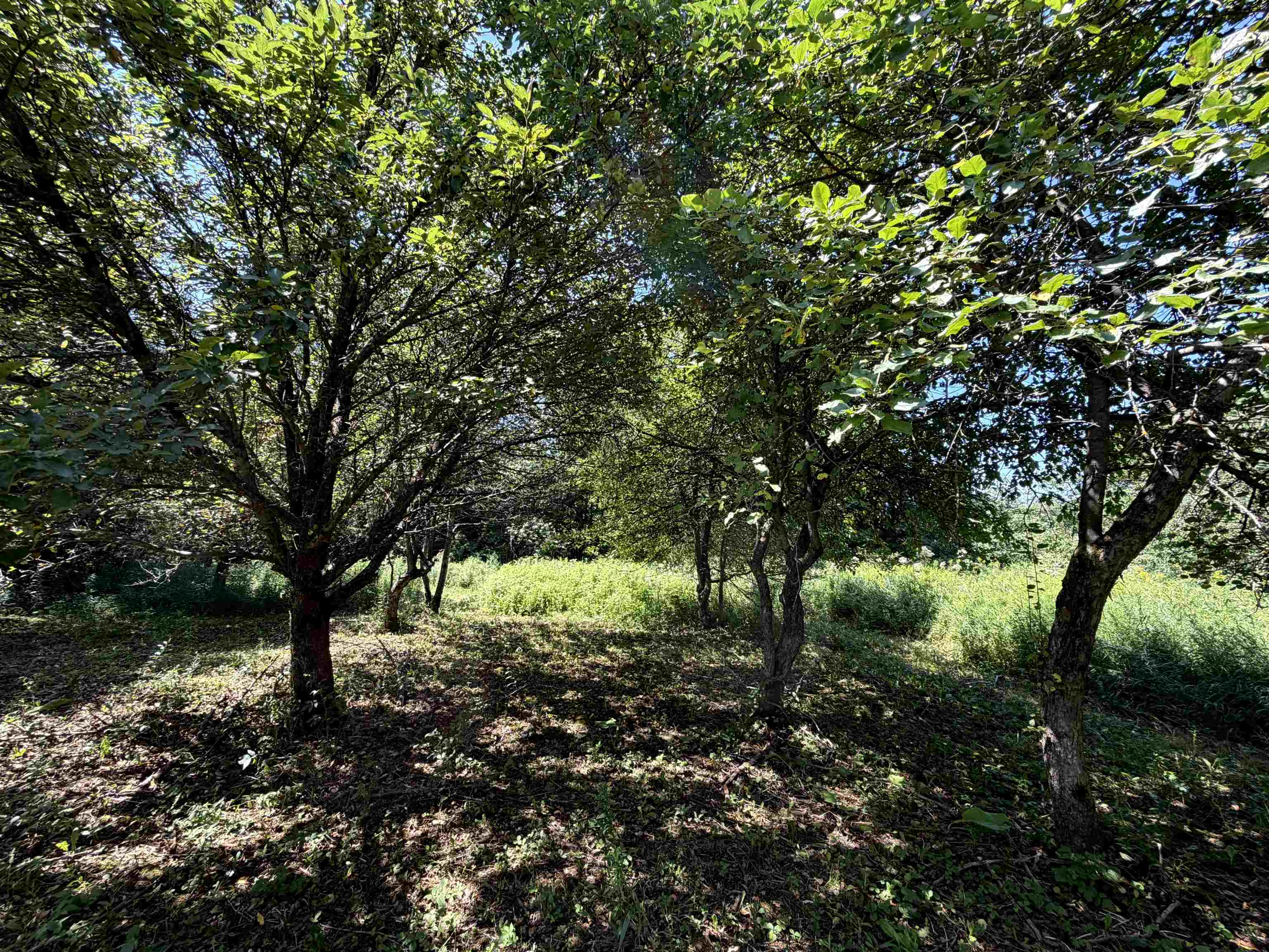 3329 Bates Hill Road Property Photo 24