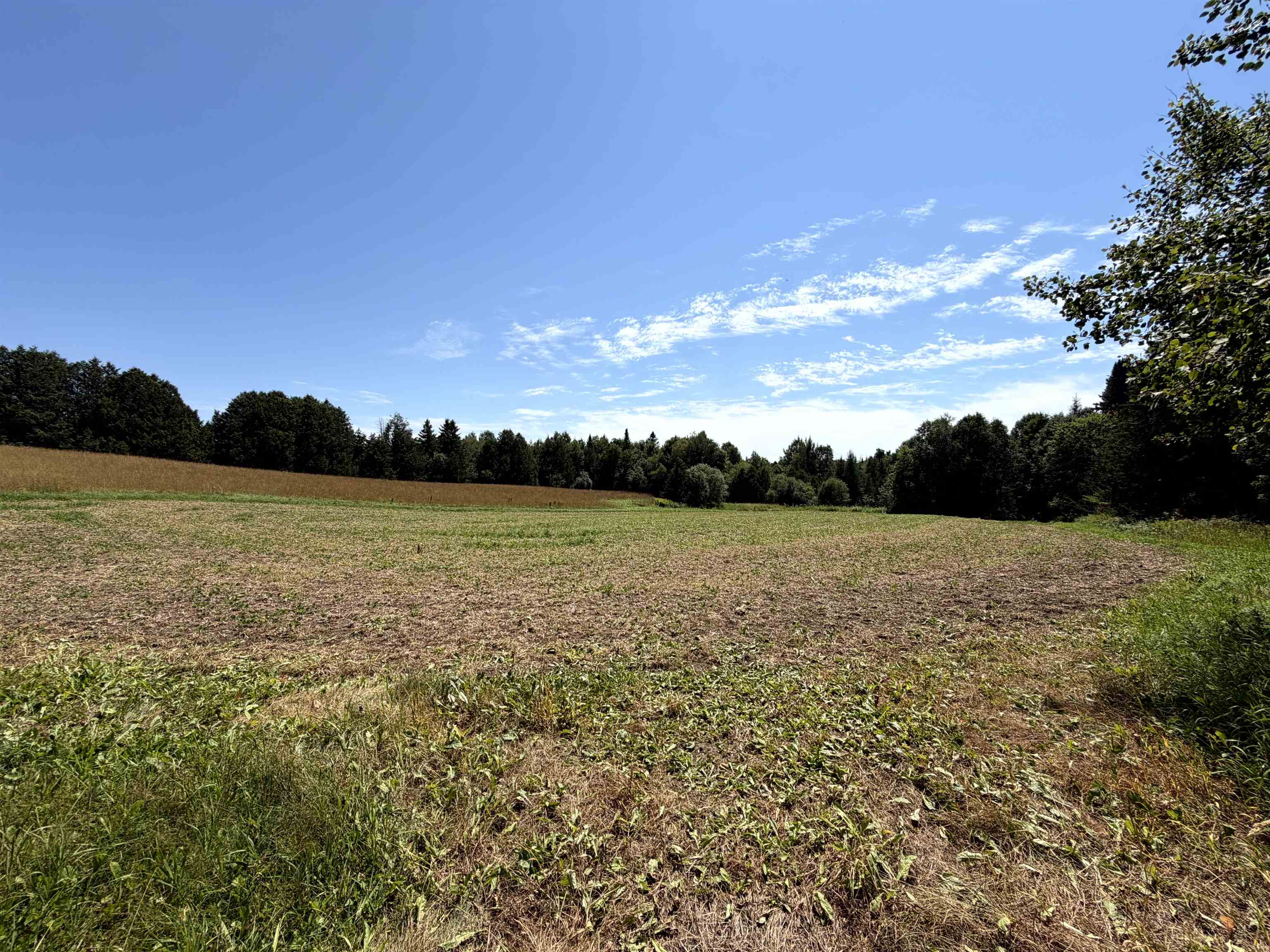 3329 Bates Hill Road Property Photo 26