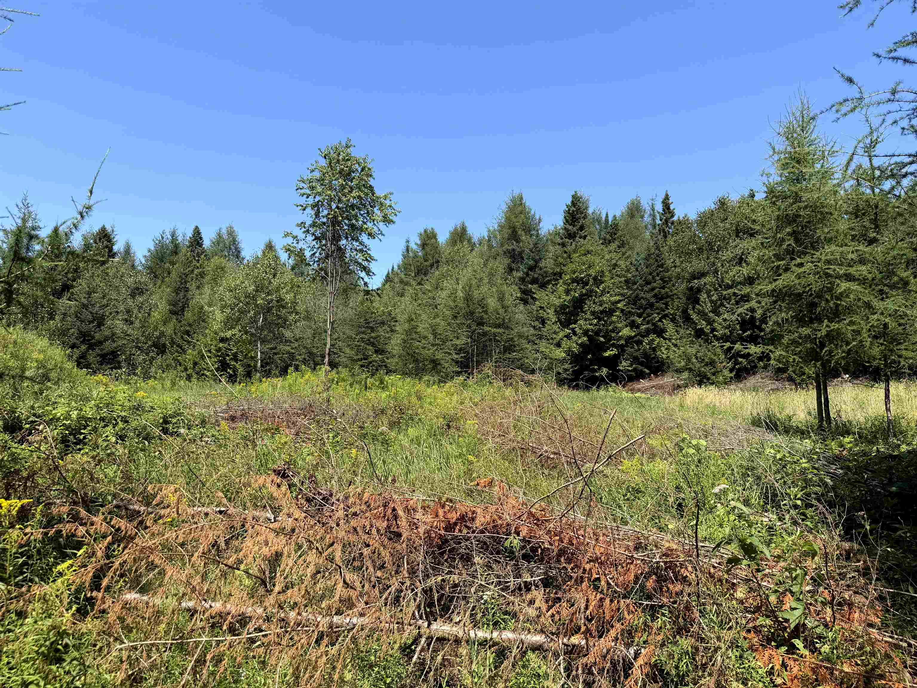 3329 Bates Hill Road Property Photo 30