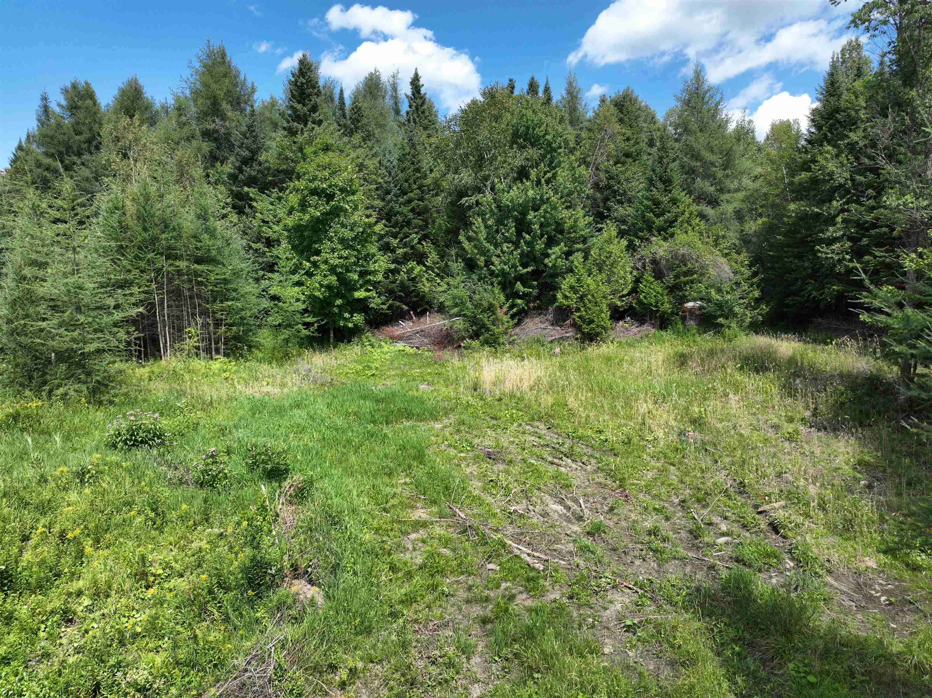 3329 Bates Hill Road Property Photo 40
