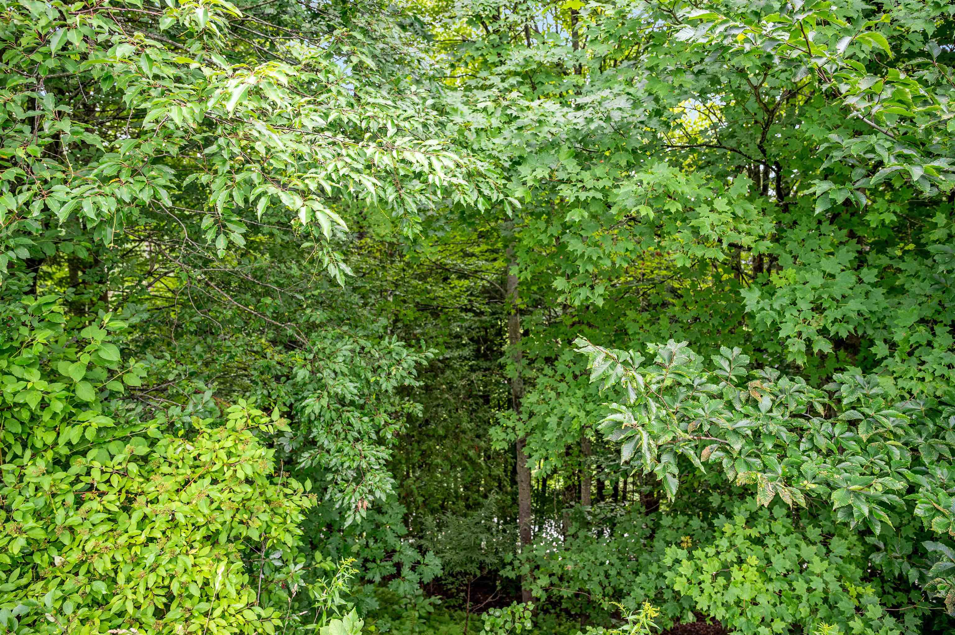 142 Soucy Lane Property Photo 44