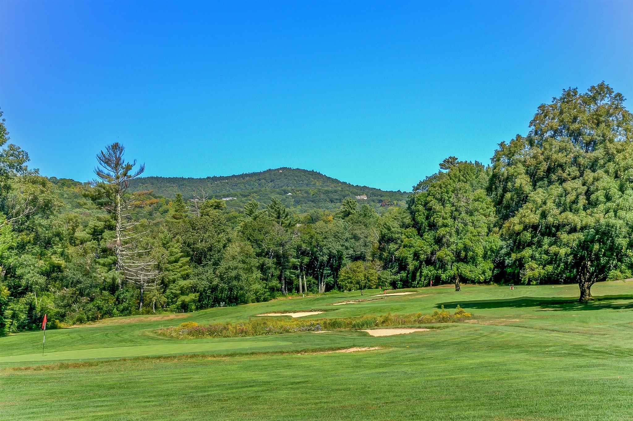 44 Linderhof Golf Course Road Property Photo 23