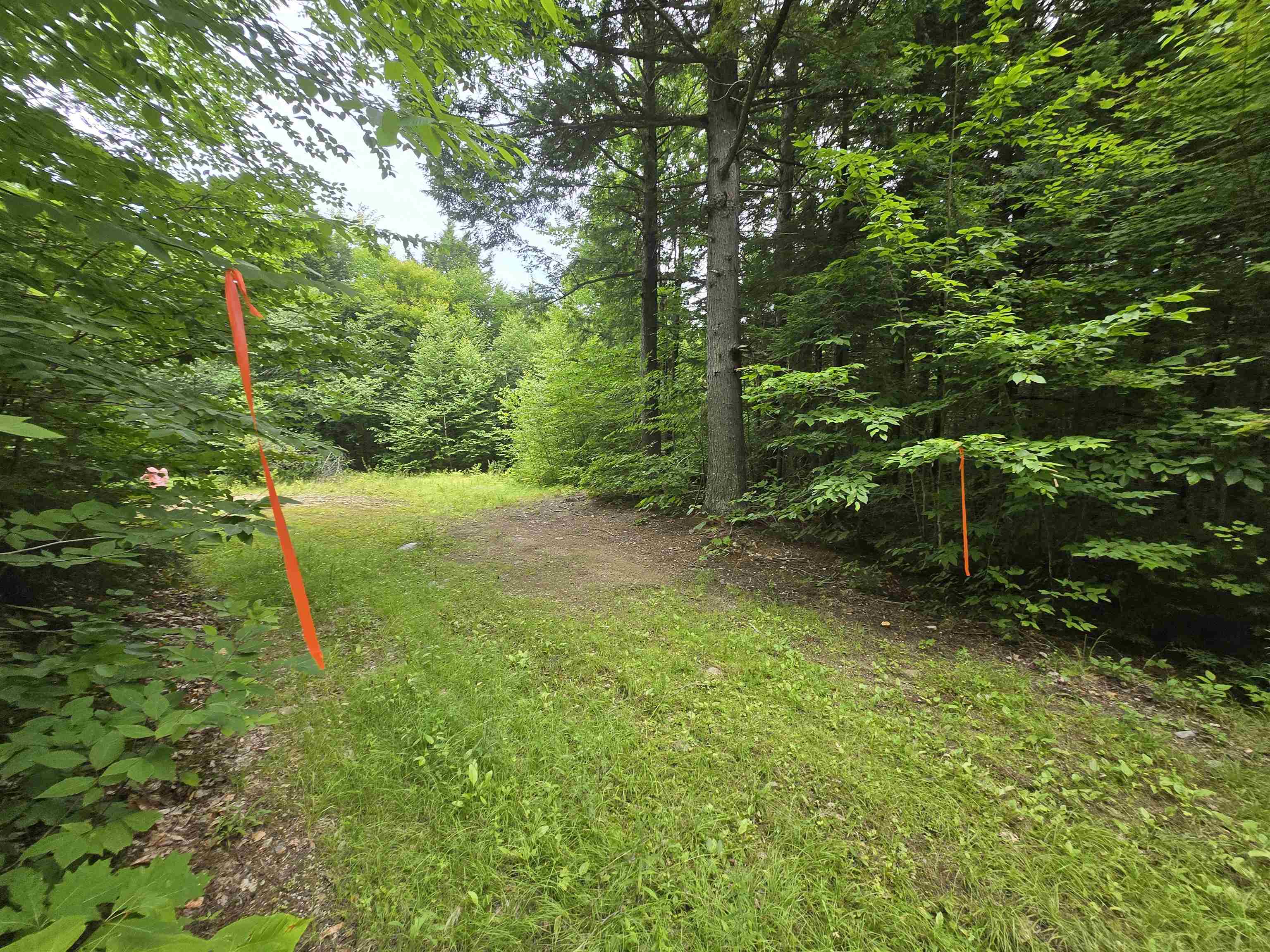 Lot 14 & 14.1 Brownfield Road Property Photo 7